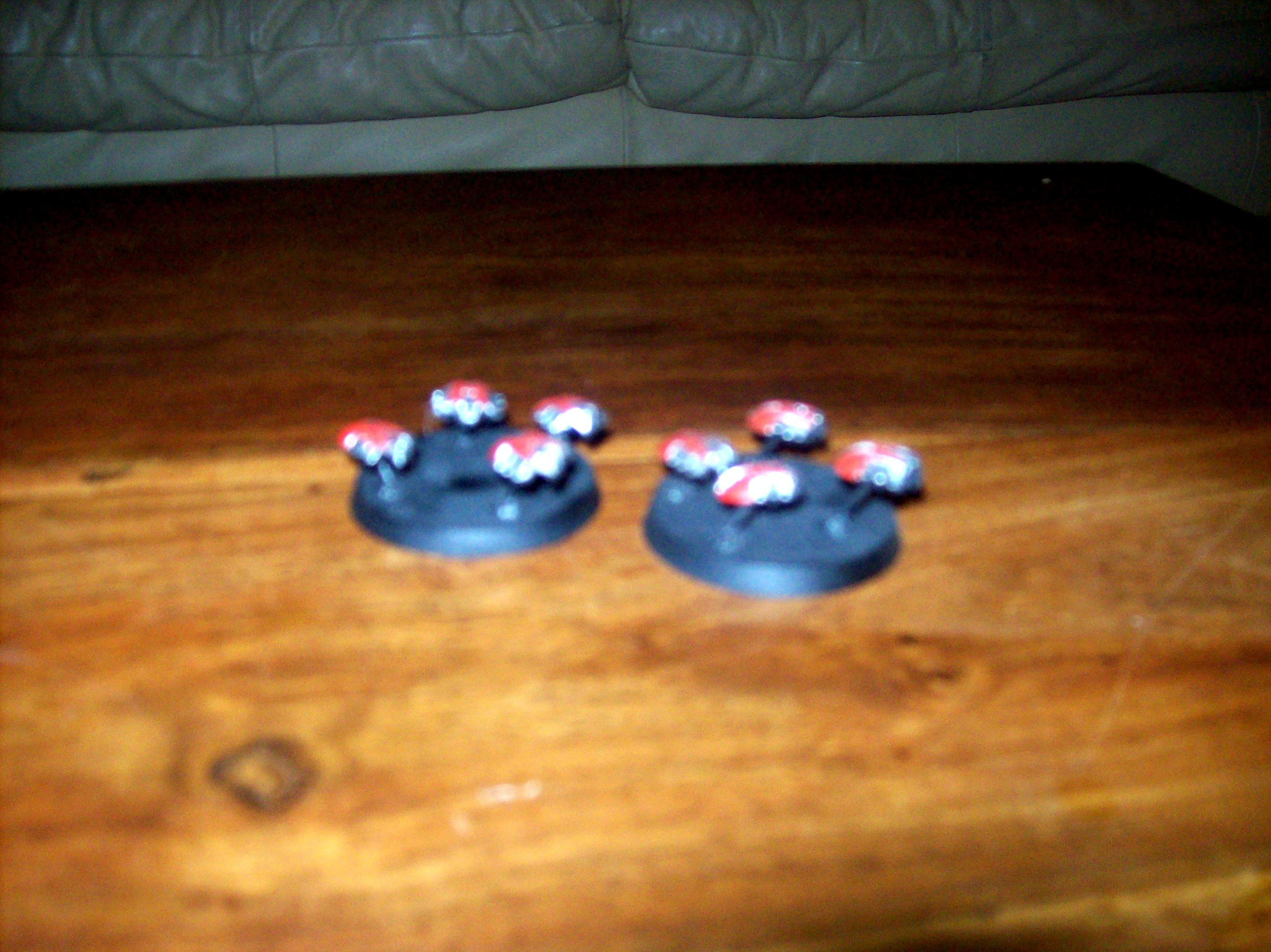 scarabs