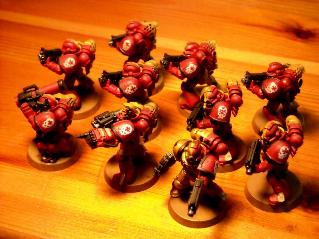 Crimson Paladins, Space Marines