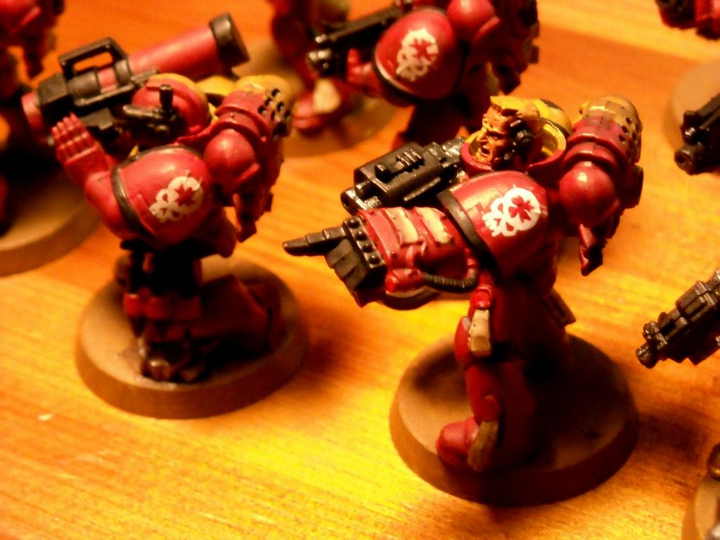 Crimson Paladins, Space Marines