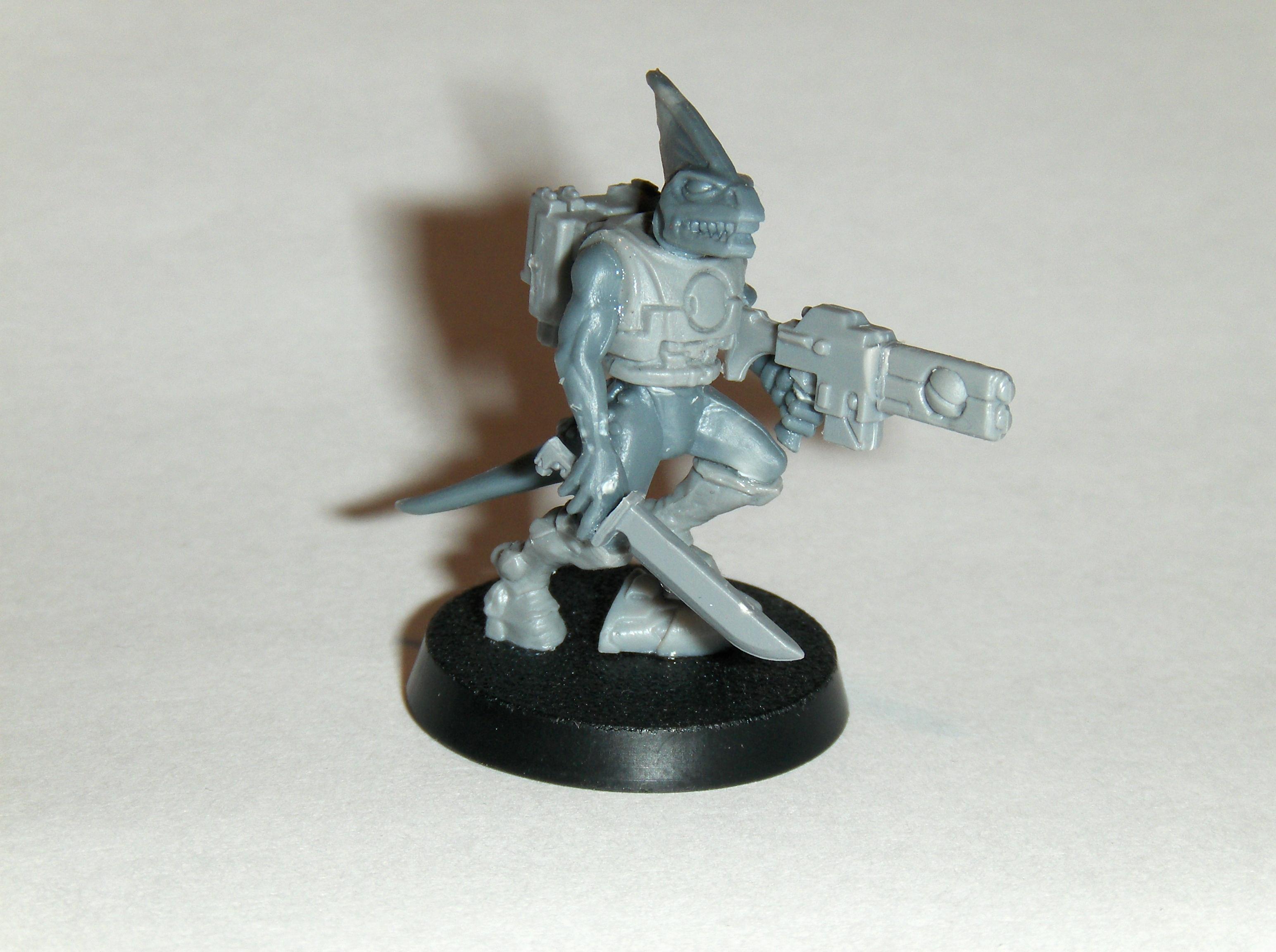 Conversion, Skinks, Slann, Tau