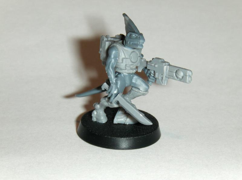 Conversion, Skinks, Slann, Tau - Slann - Gallery - DakkaDakka