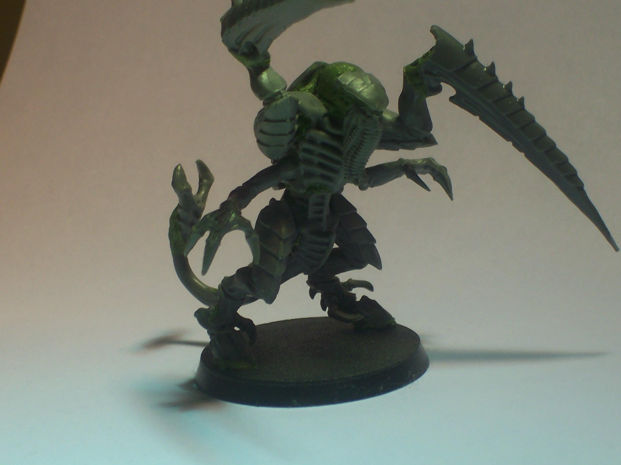 Lictor, Lictor1