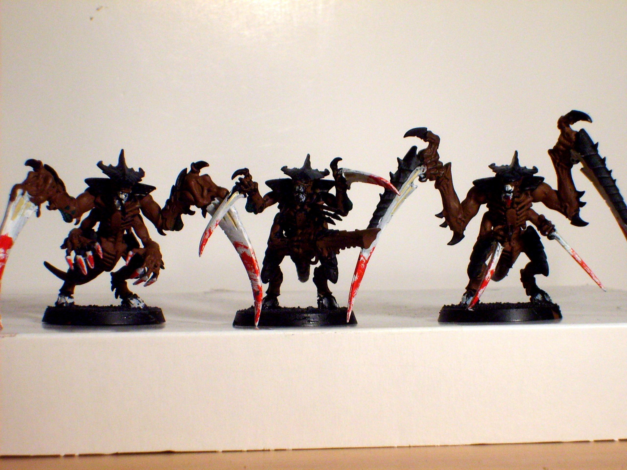 Warriors