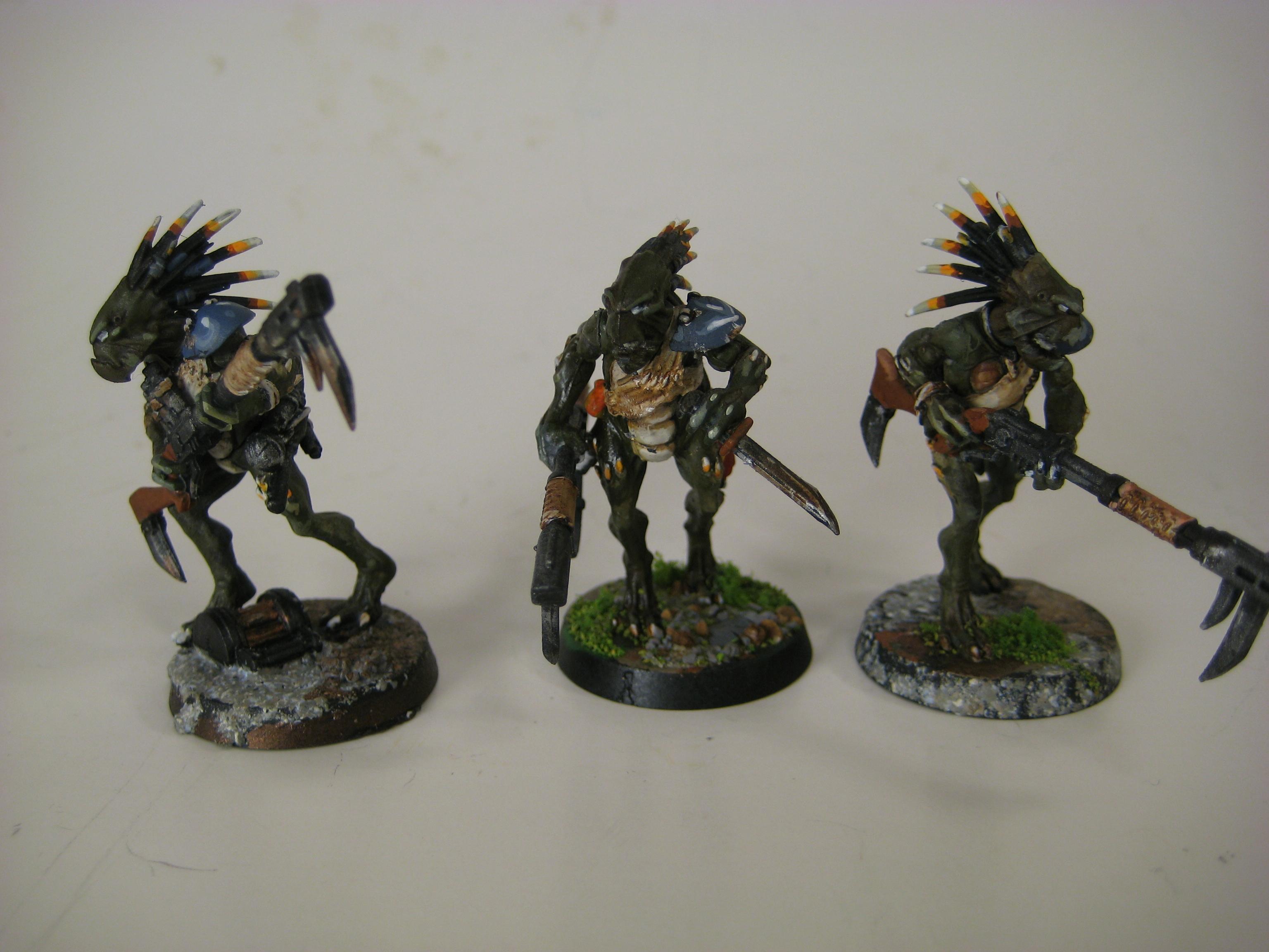 Kroot, Warhammer 40,000