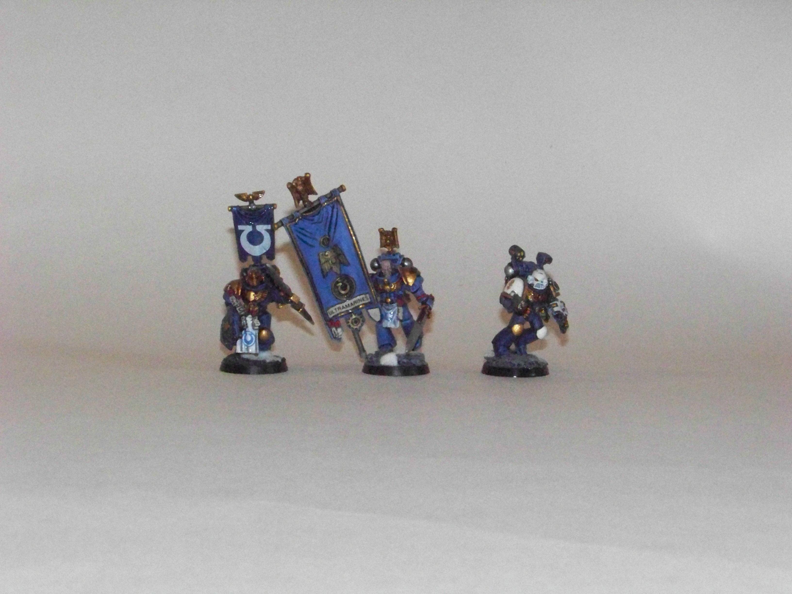 II company champion,standard and apothecary