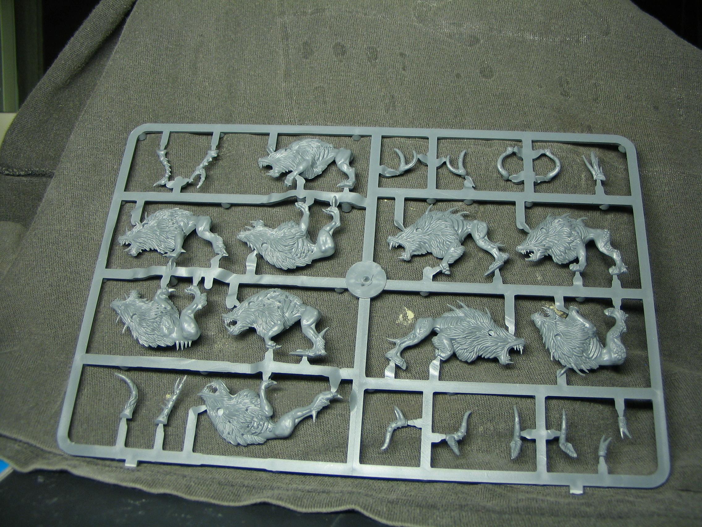 Core, Games Workshop, Sprue, Warhammer Fantasy, Warriors Of Chaos, Wolves