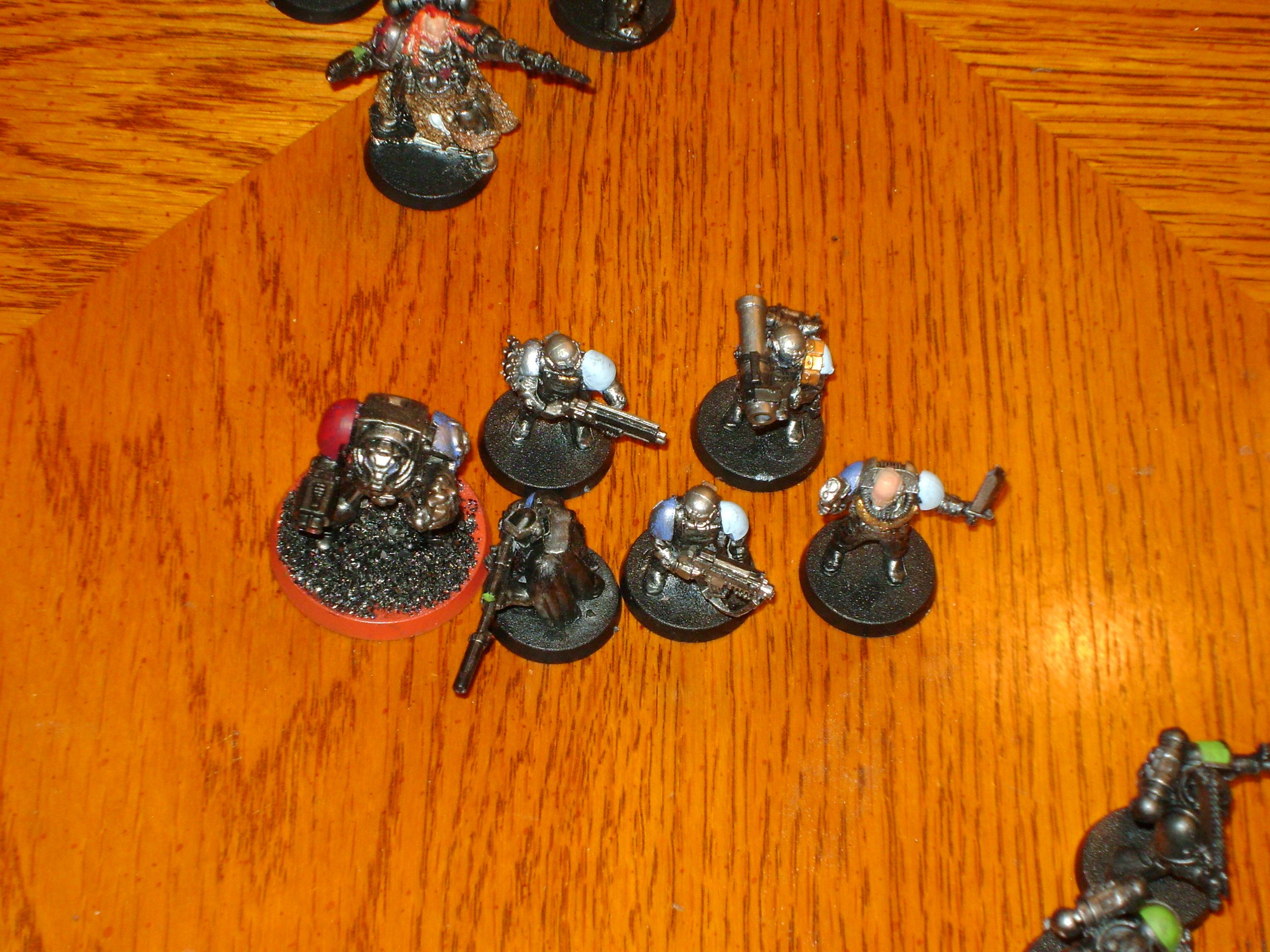 Wolf Scouts with Wolf Guard