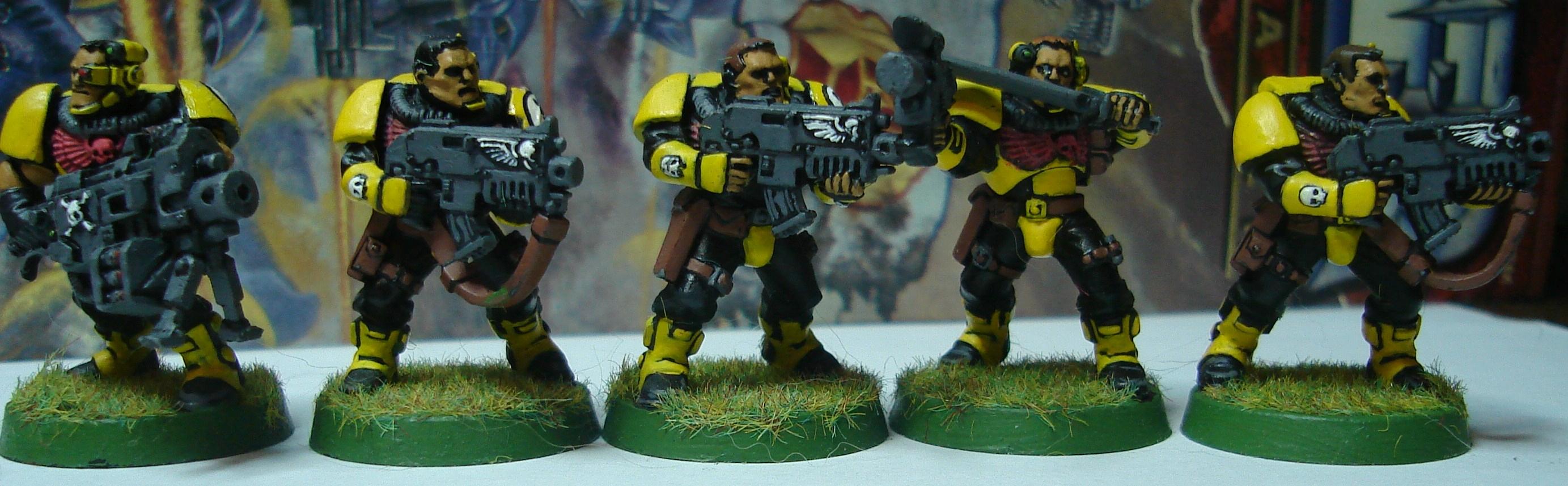 Imperial Fists, Scouts, Space Marines