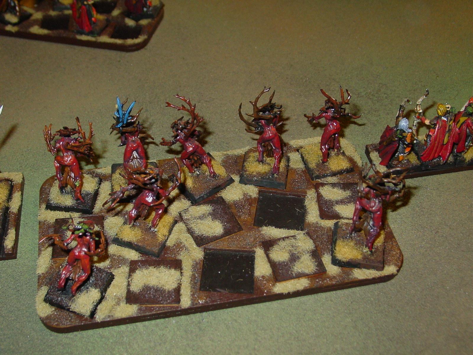 2000 Points, Battle Report, Empire, Wood Elves