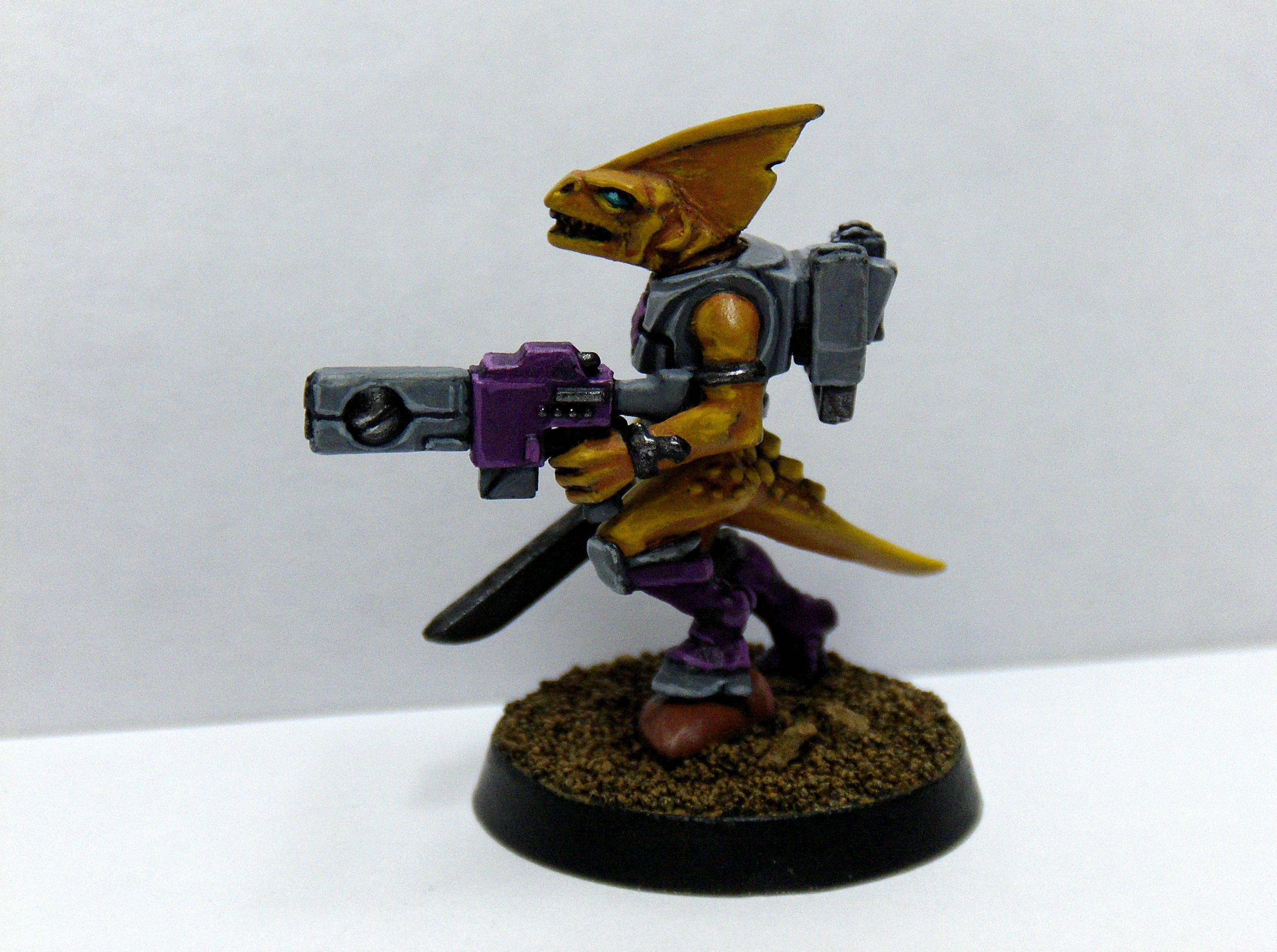 Lizardmen, Mercenary, Slann, Tau