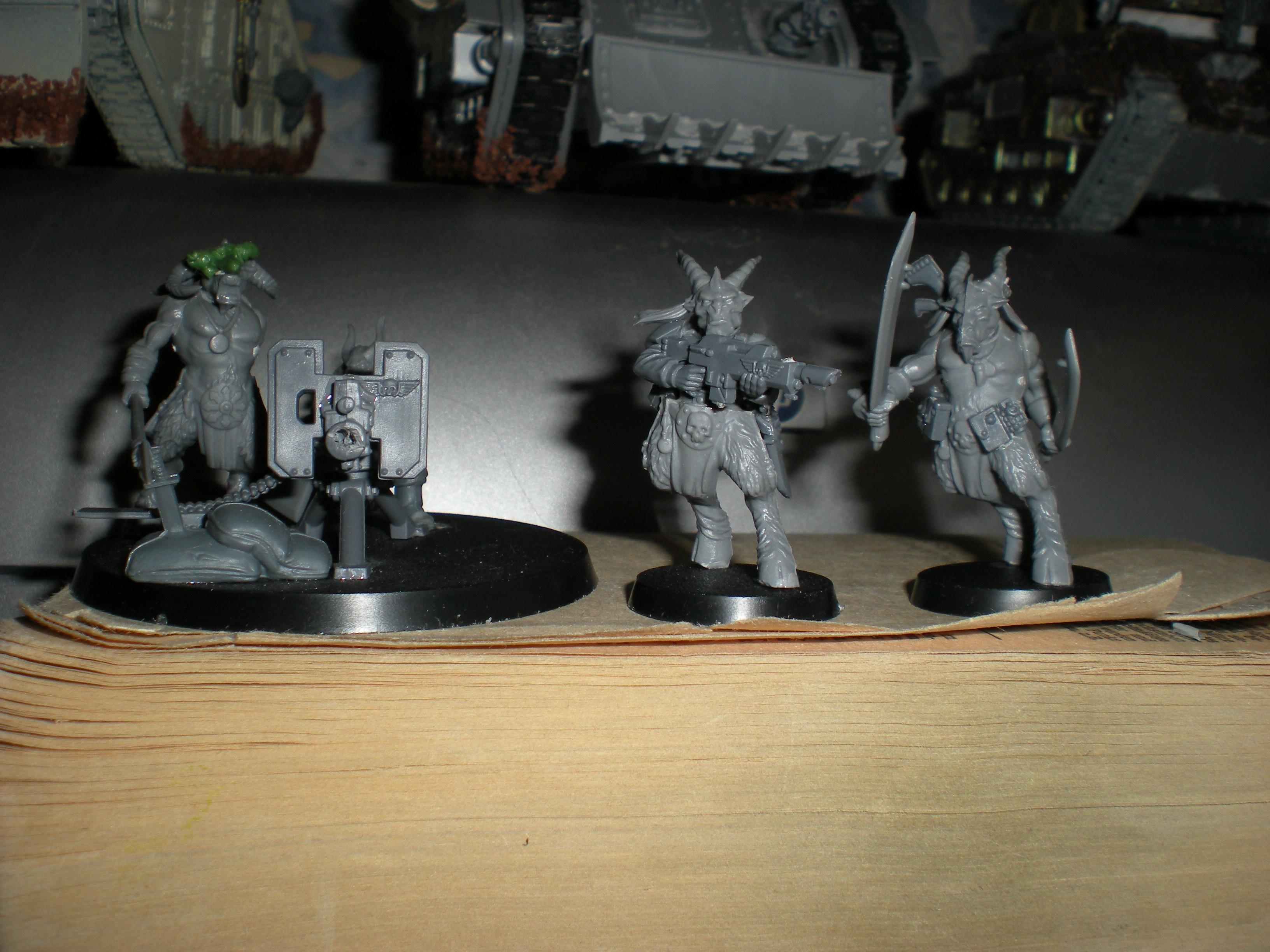Beastmen, Imperial Guard