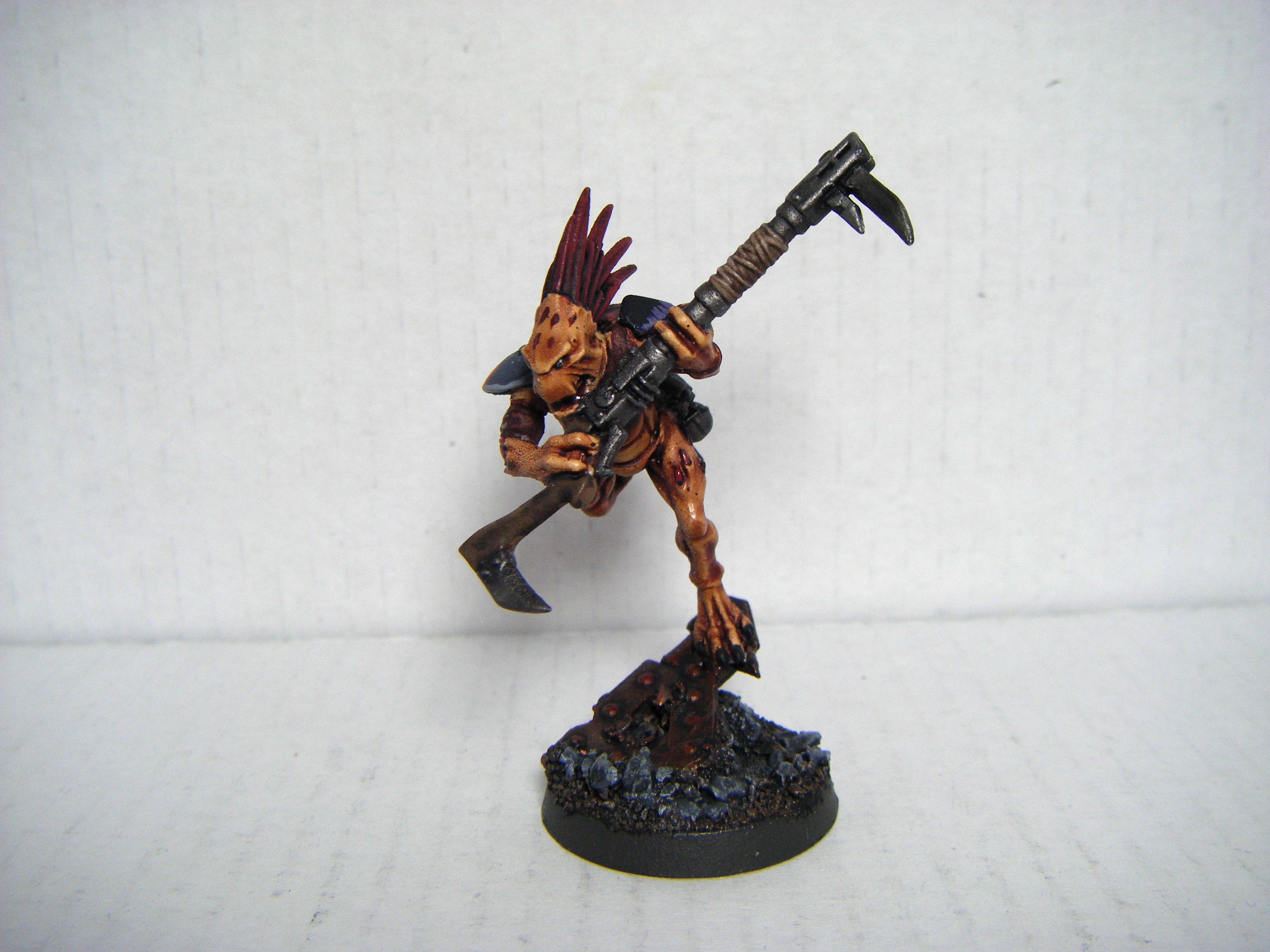 Kroot, Dezba