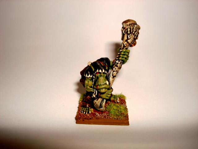 Orcs, Shaman, Warhammer Fantasy