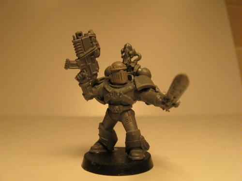 grey hunter
