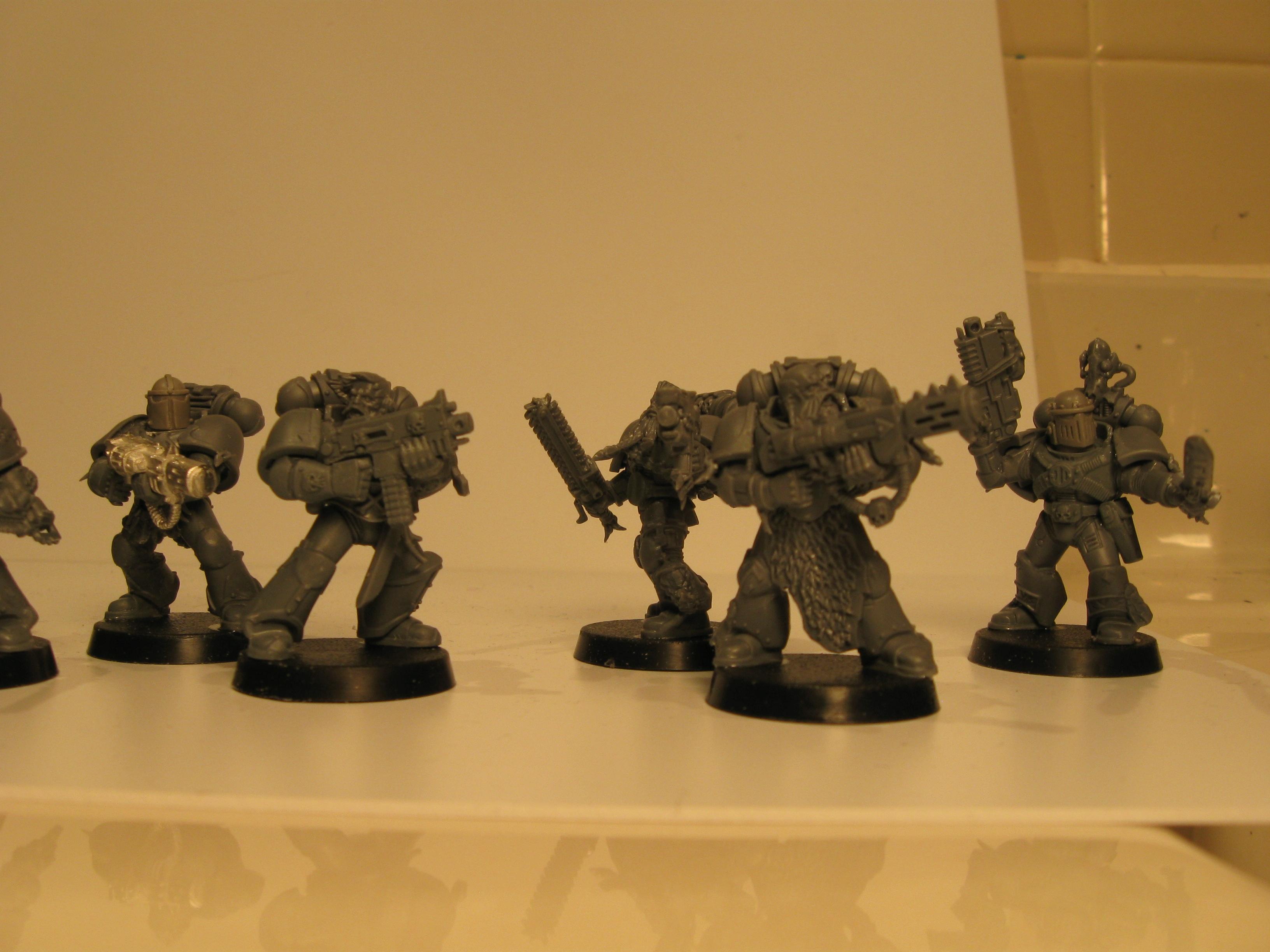 grey hunters