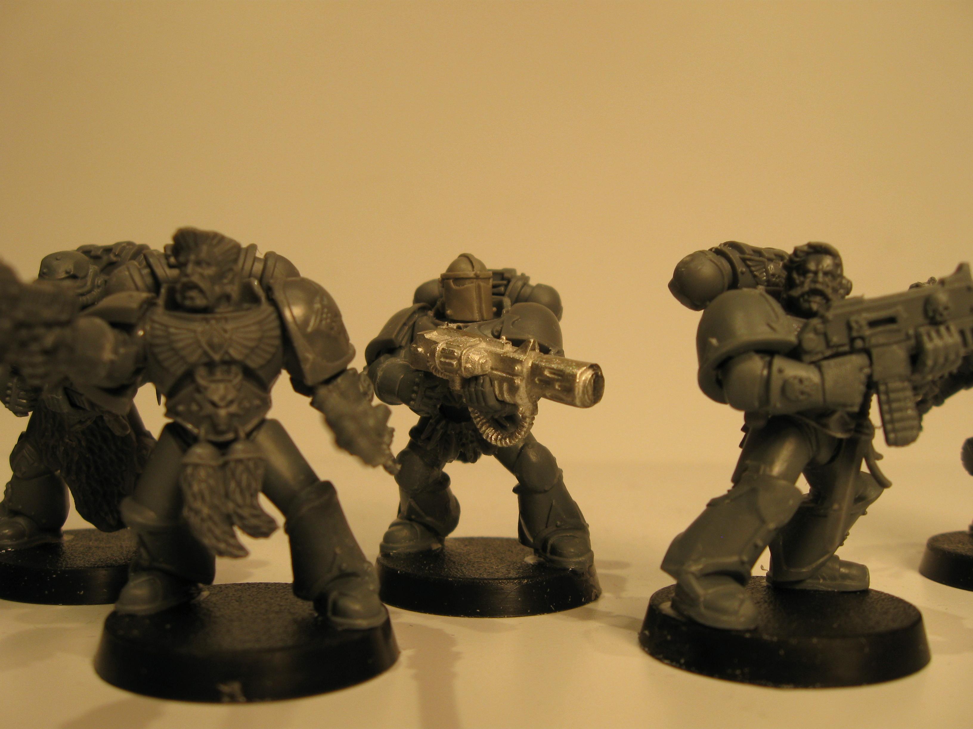 grey hunters