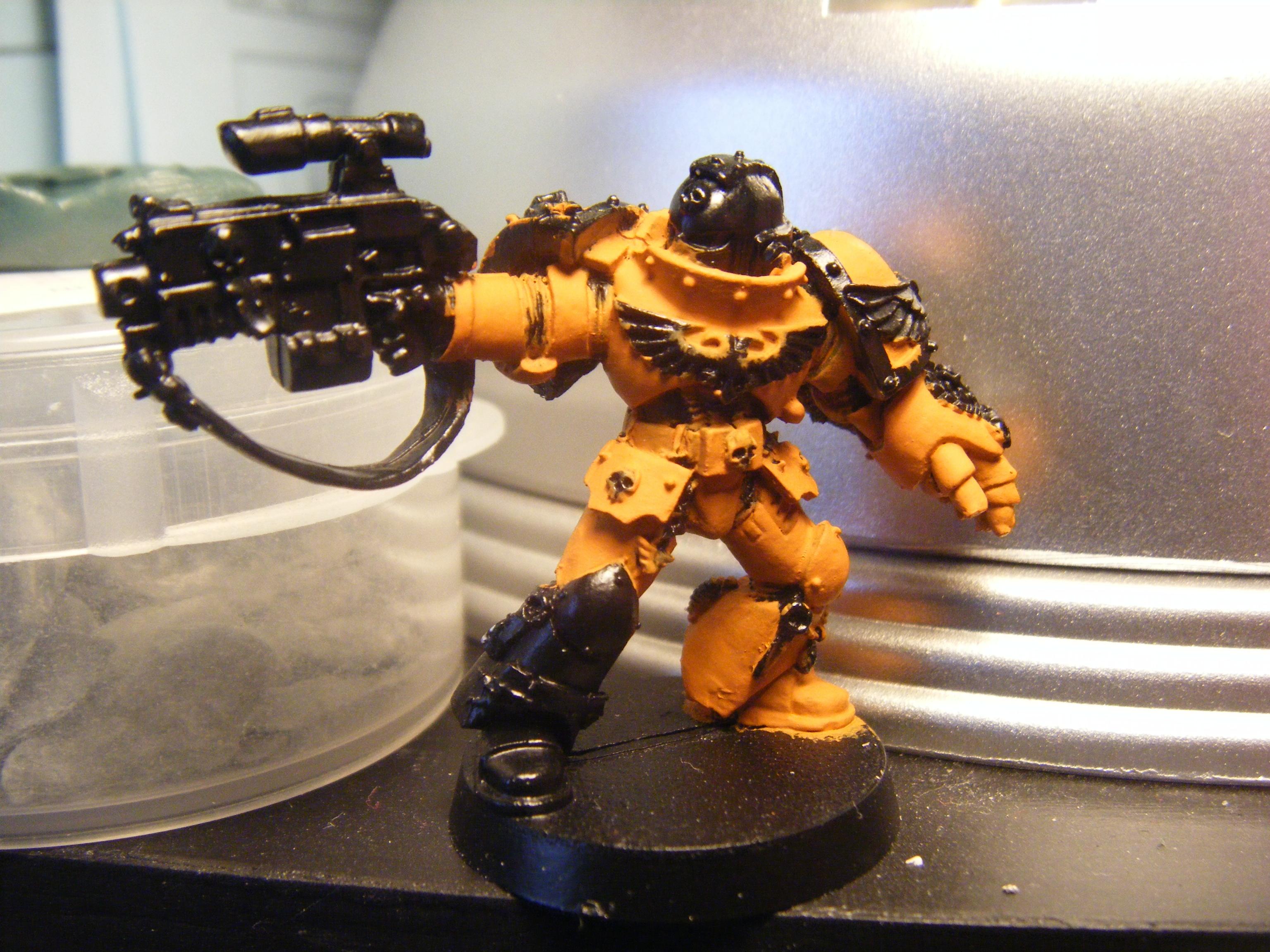 sternguard wip