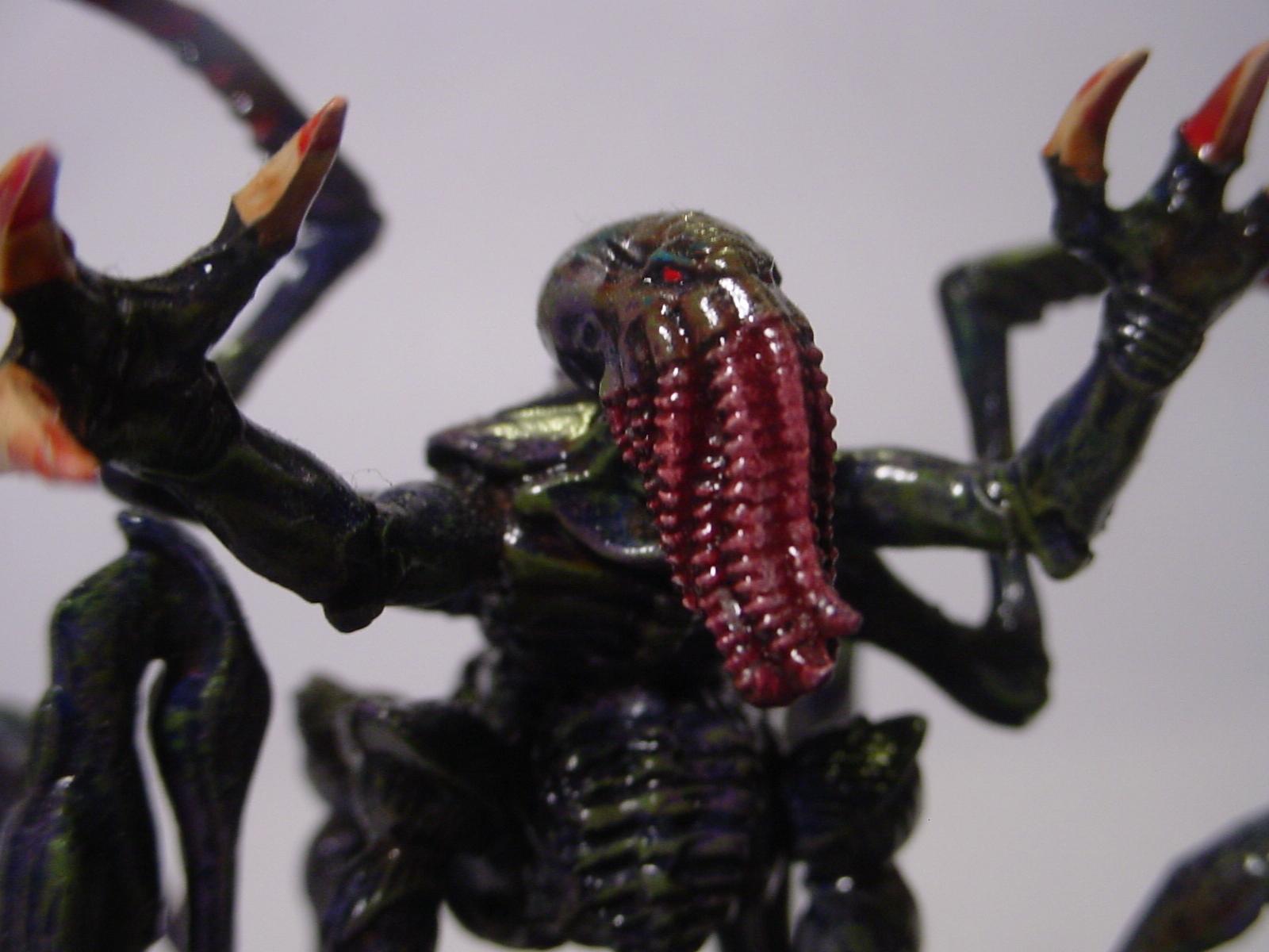 Tyranids