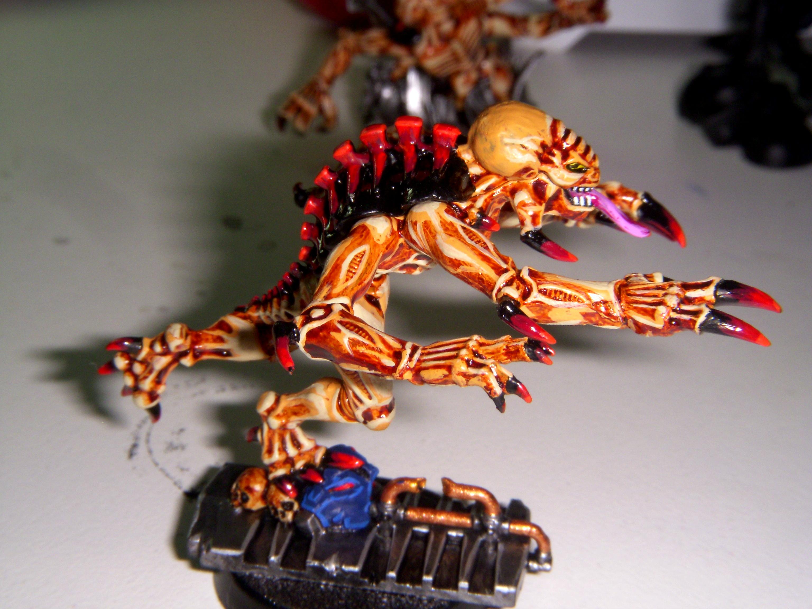 Space Hulk, Warhammer 40,000