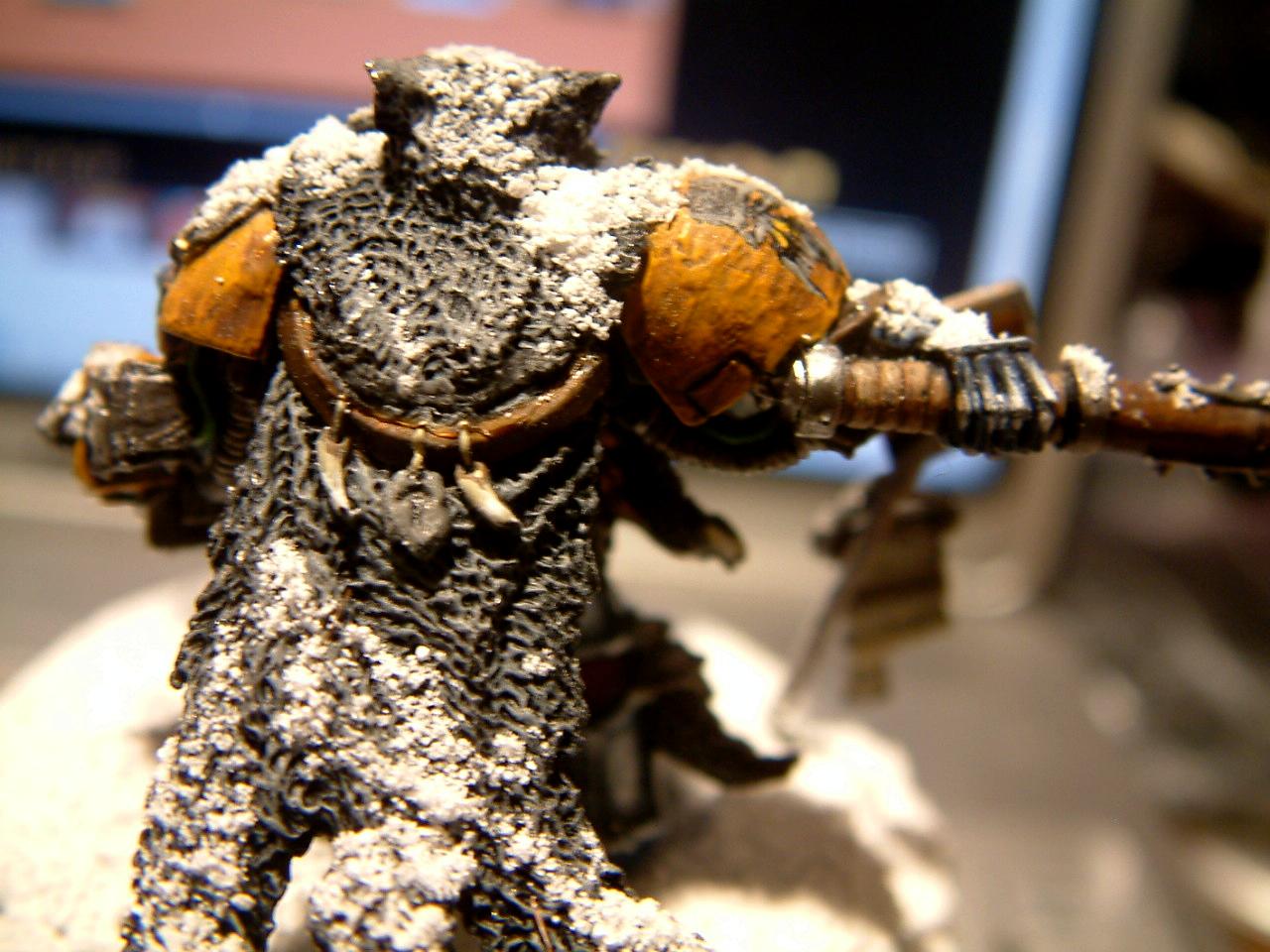 Diorama, Grimnar, Logan, Snow, Space, Space Marines, Wolves