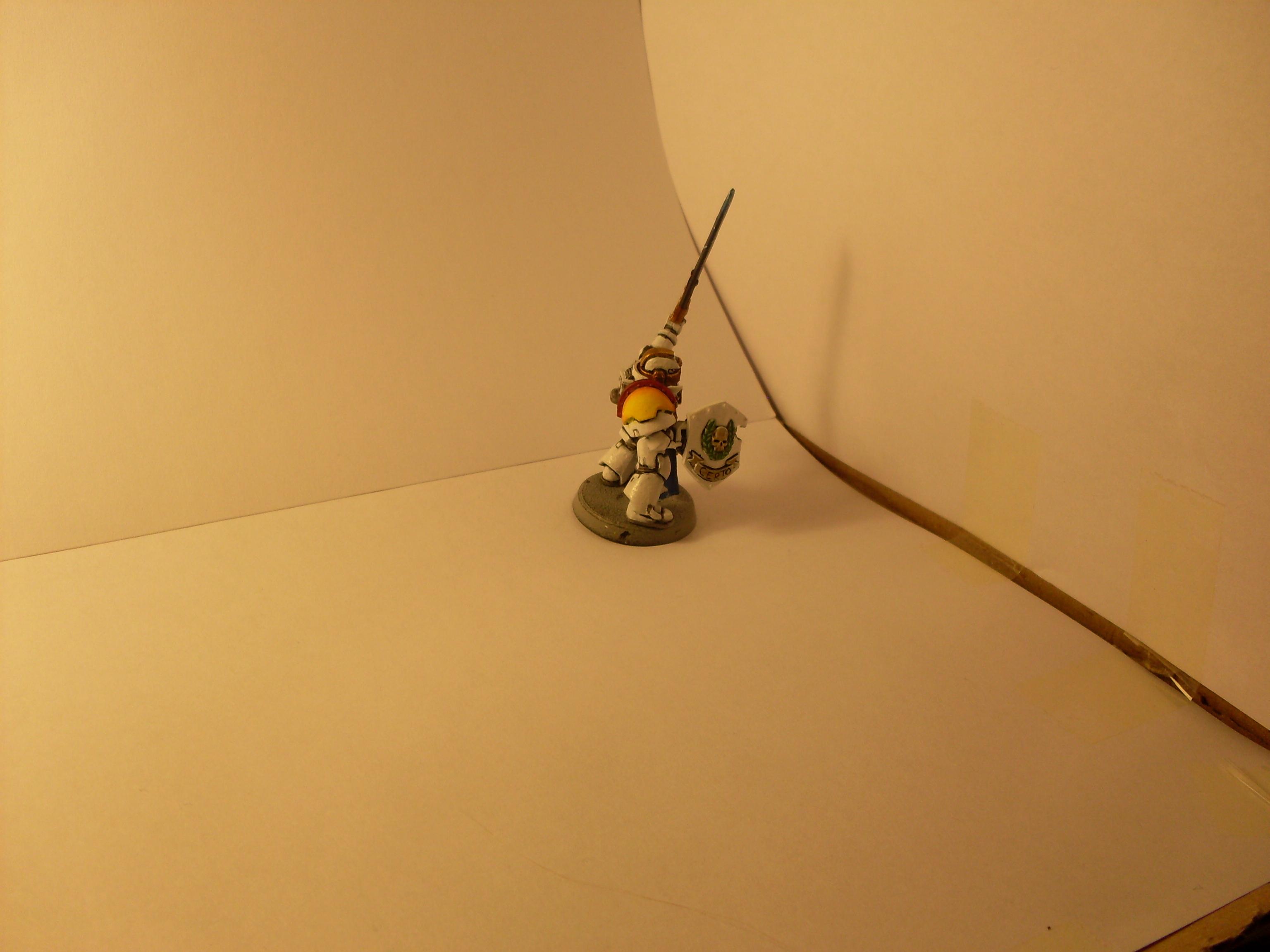 Company champion WIP