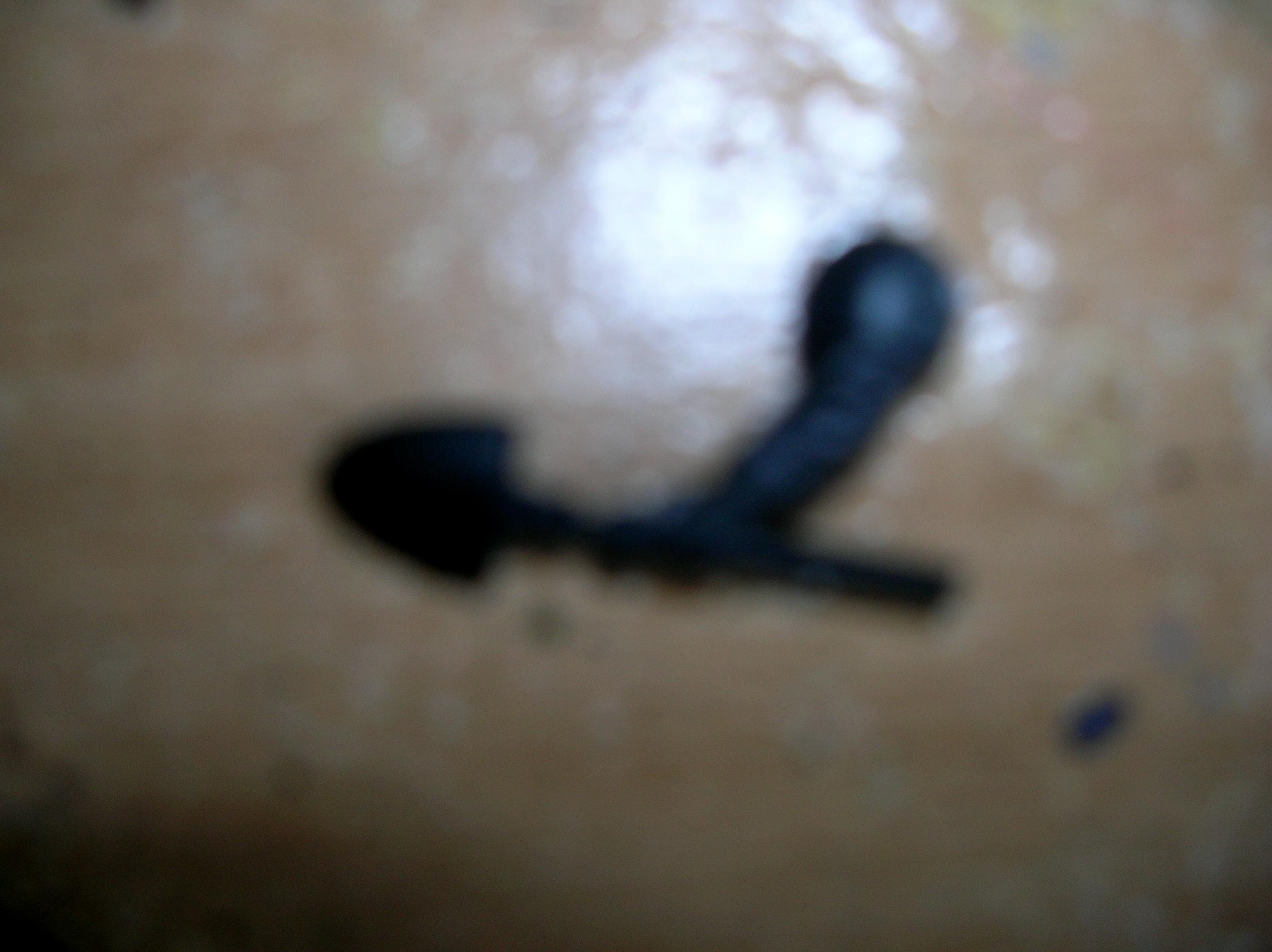 Shovel B