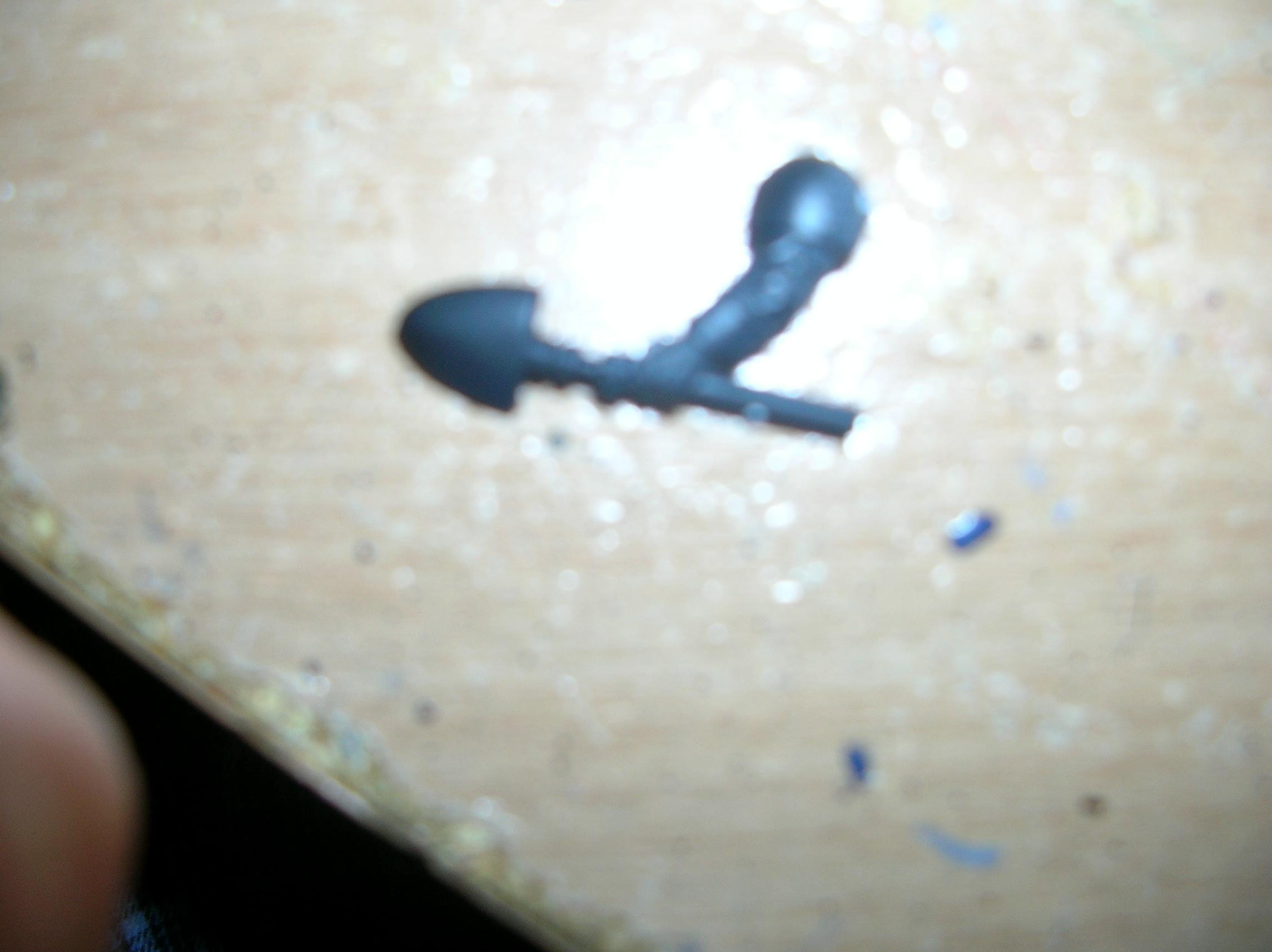 Shovel C