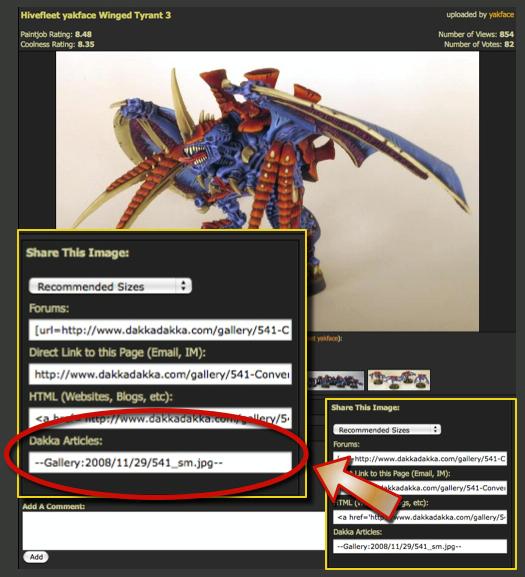 Article Tutorial - Displaying images from the Gallery