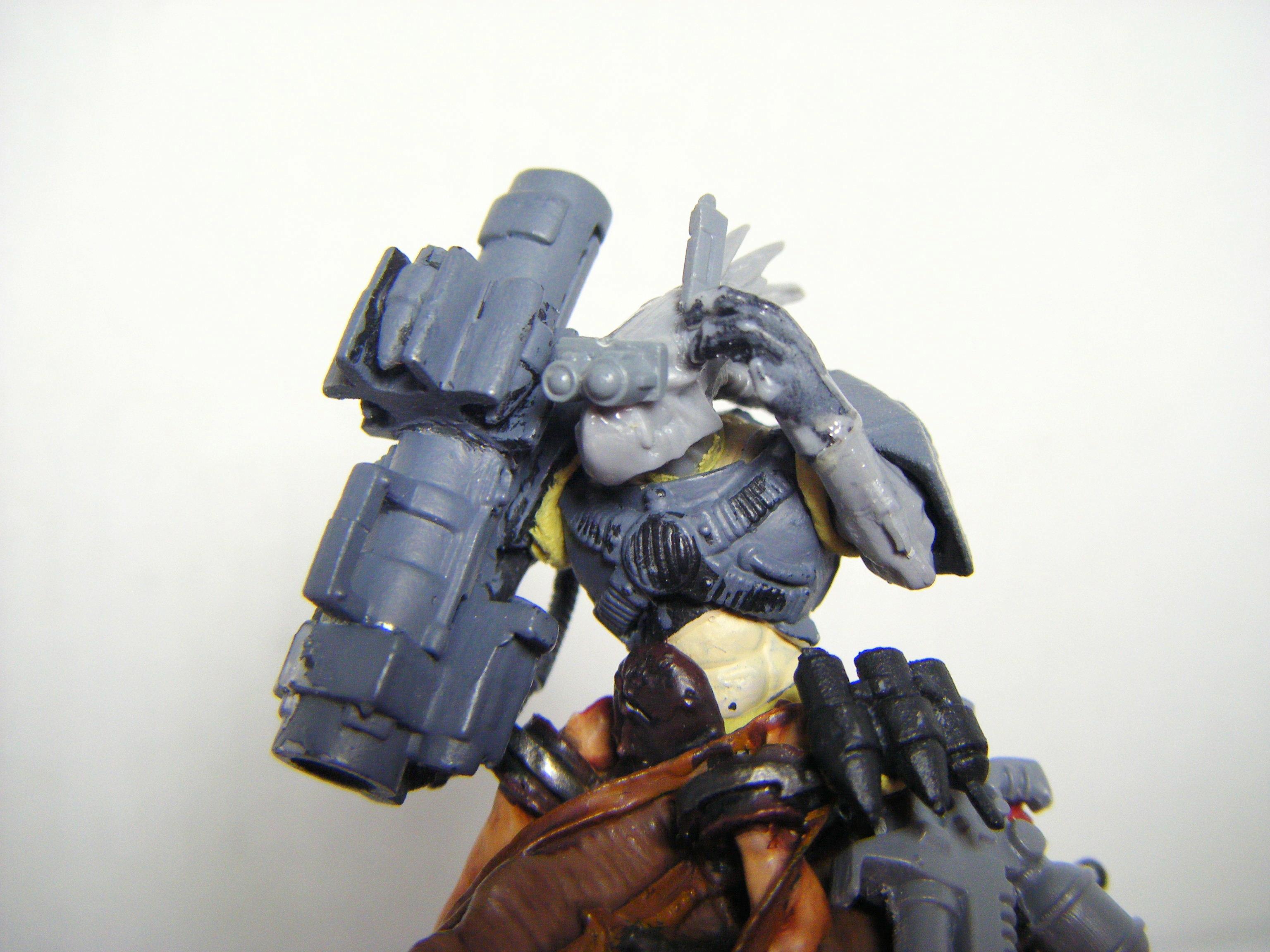 Conversion, Kroot, Rider 2 WIP