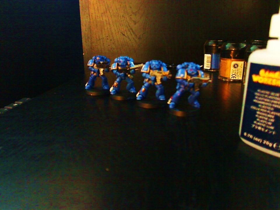 Blue, Gold, Space Marines, Tactical Squad, Warhammer 40,000