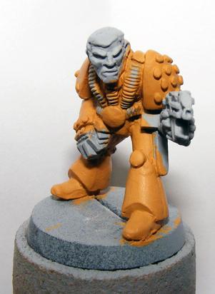 Rogue Trader Marine