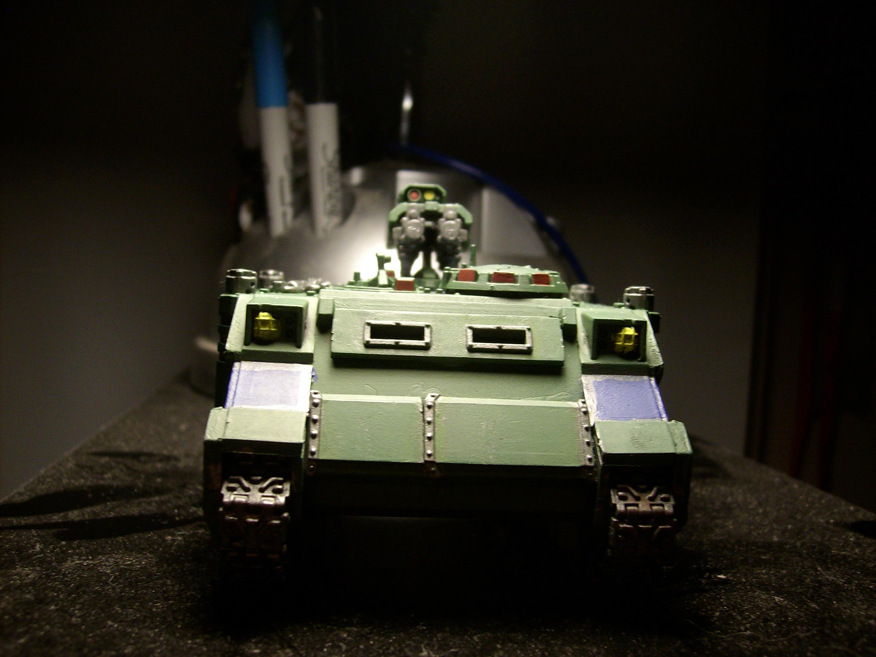 razorback2