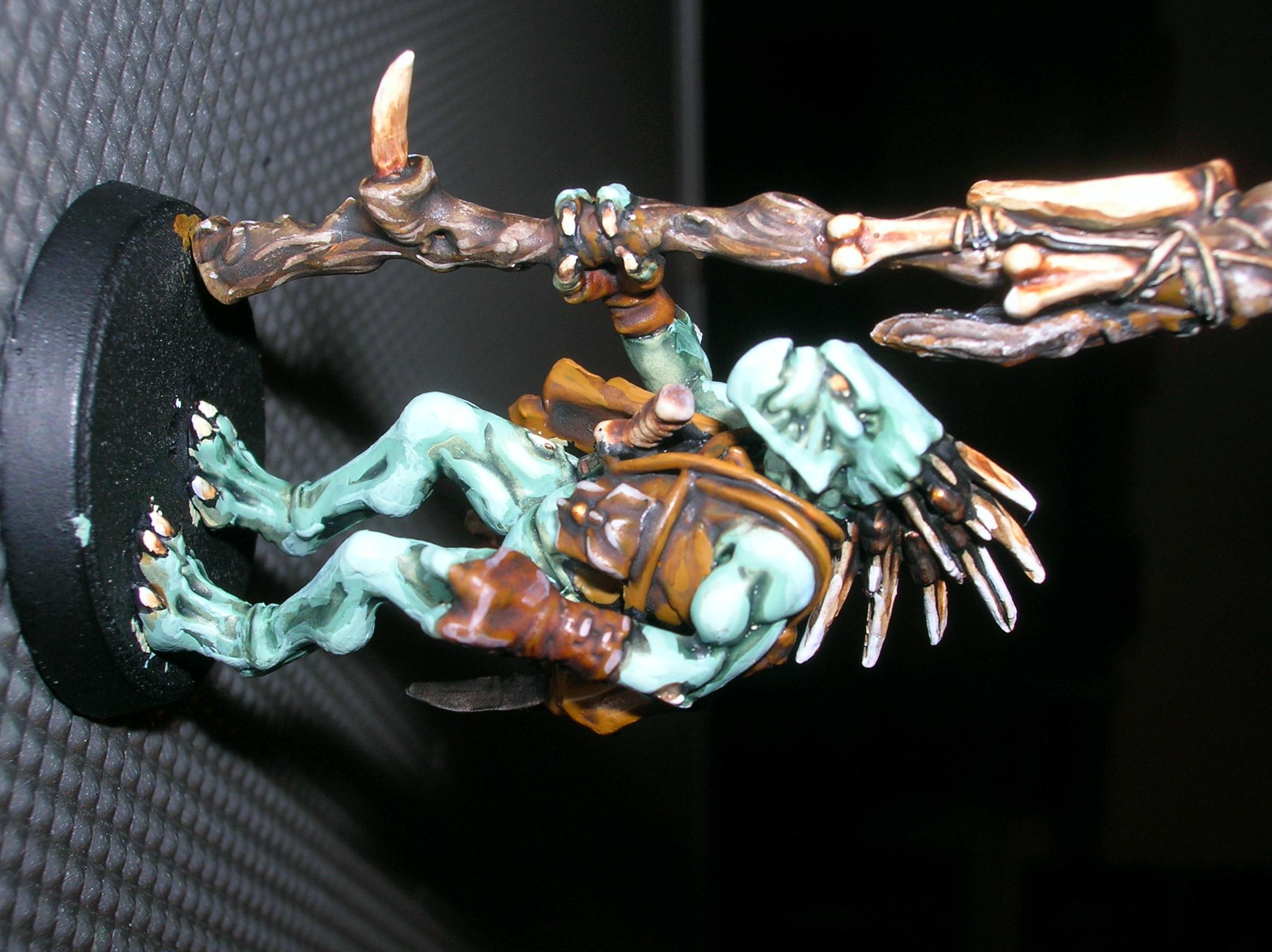 Kroot, Tau, Kroot shaman