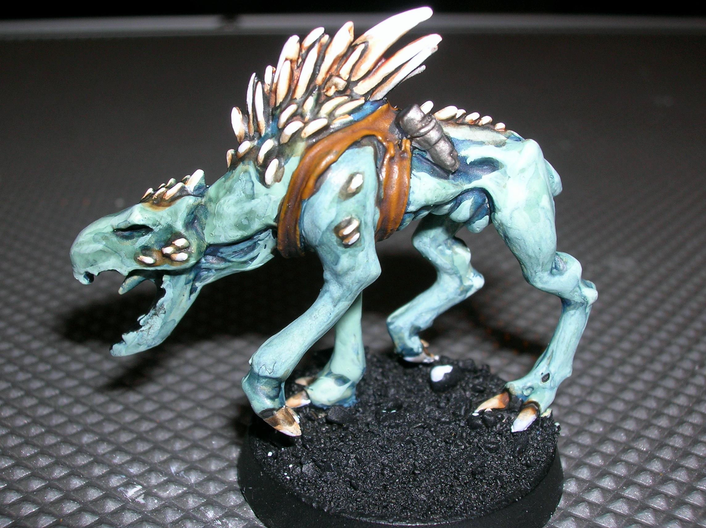 Tau, Kroot hound