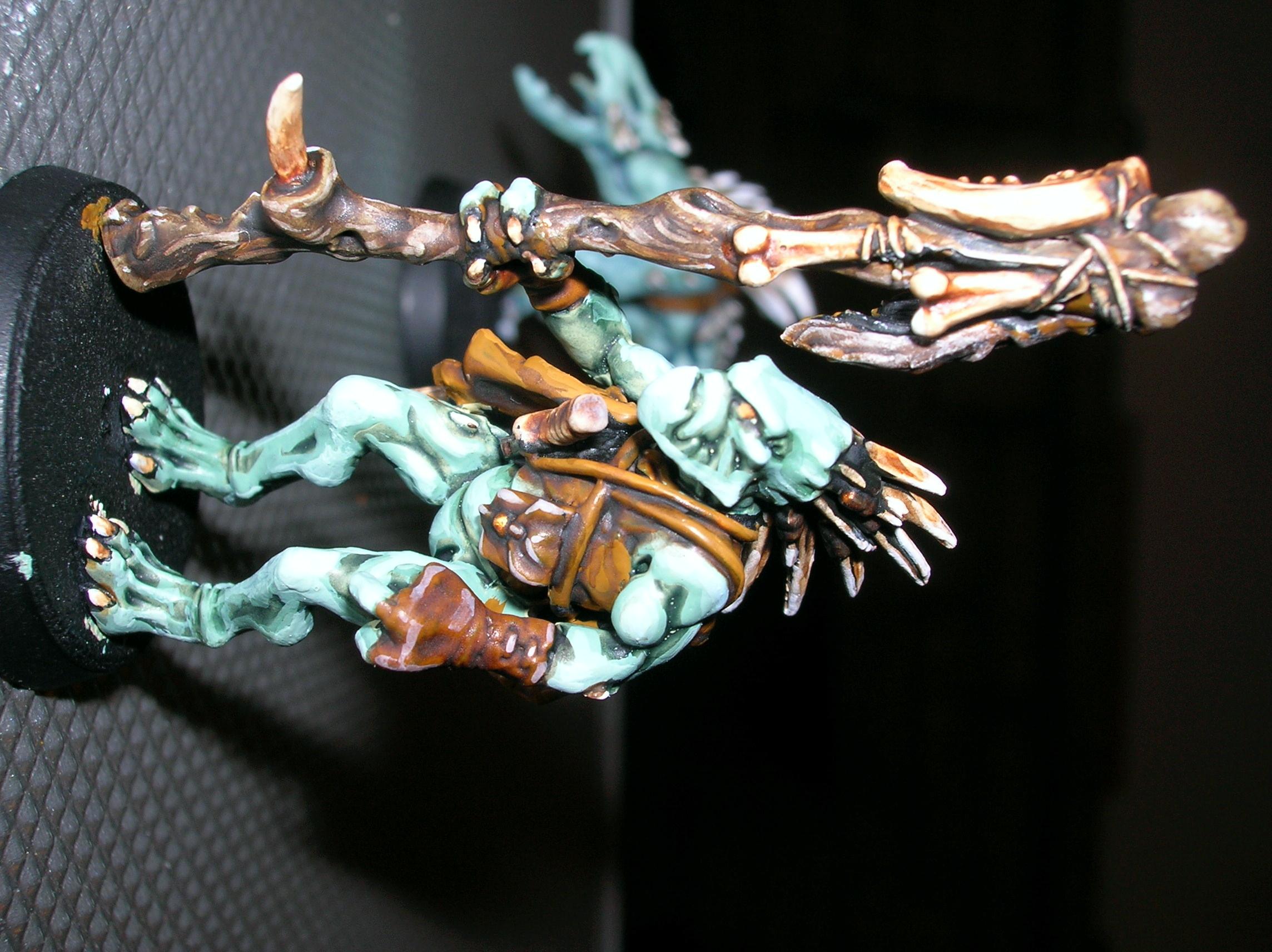Kroot, Tau, Kroot shaman