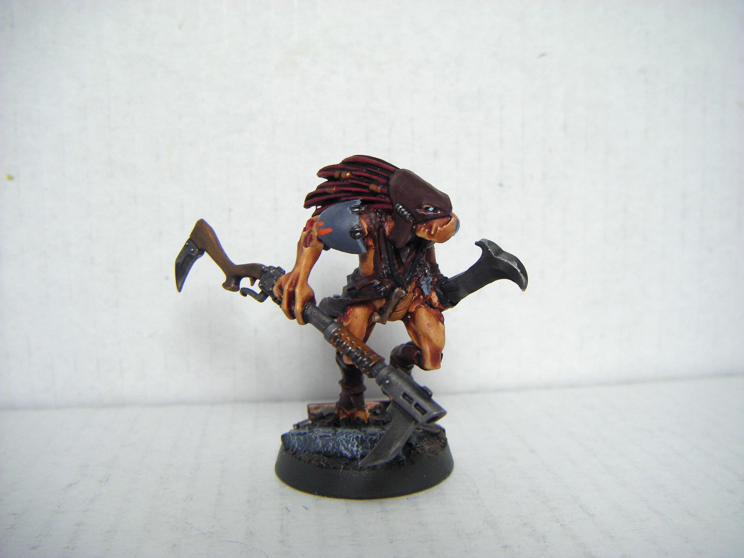 Kroot, Shaper Kortu
