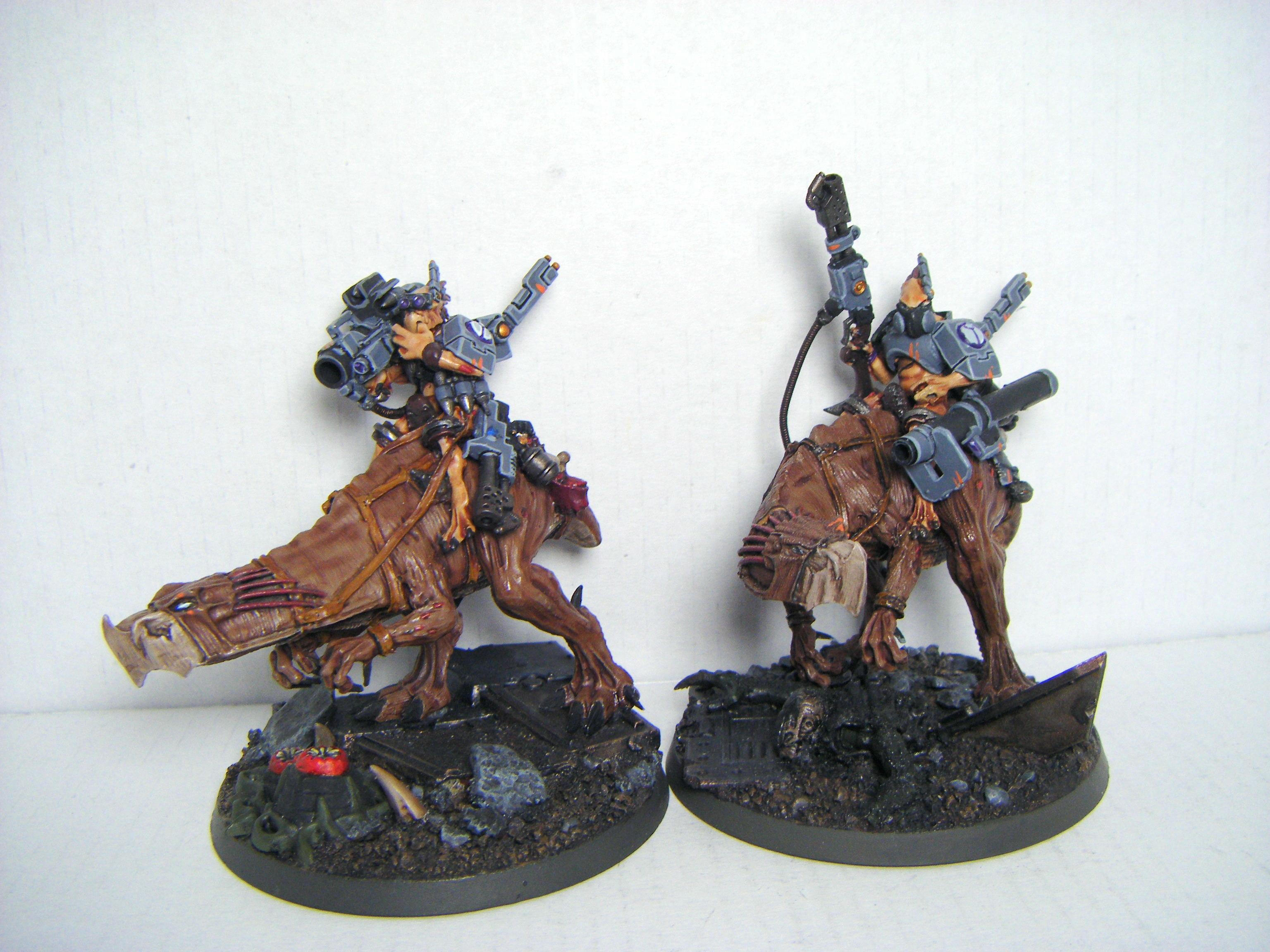 Kroot, Completed Knarloc Riders