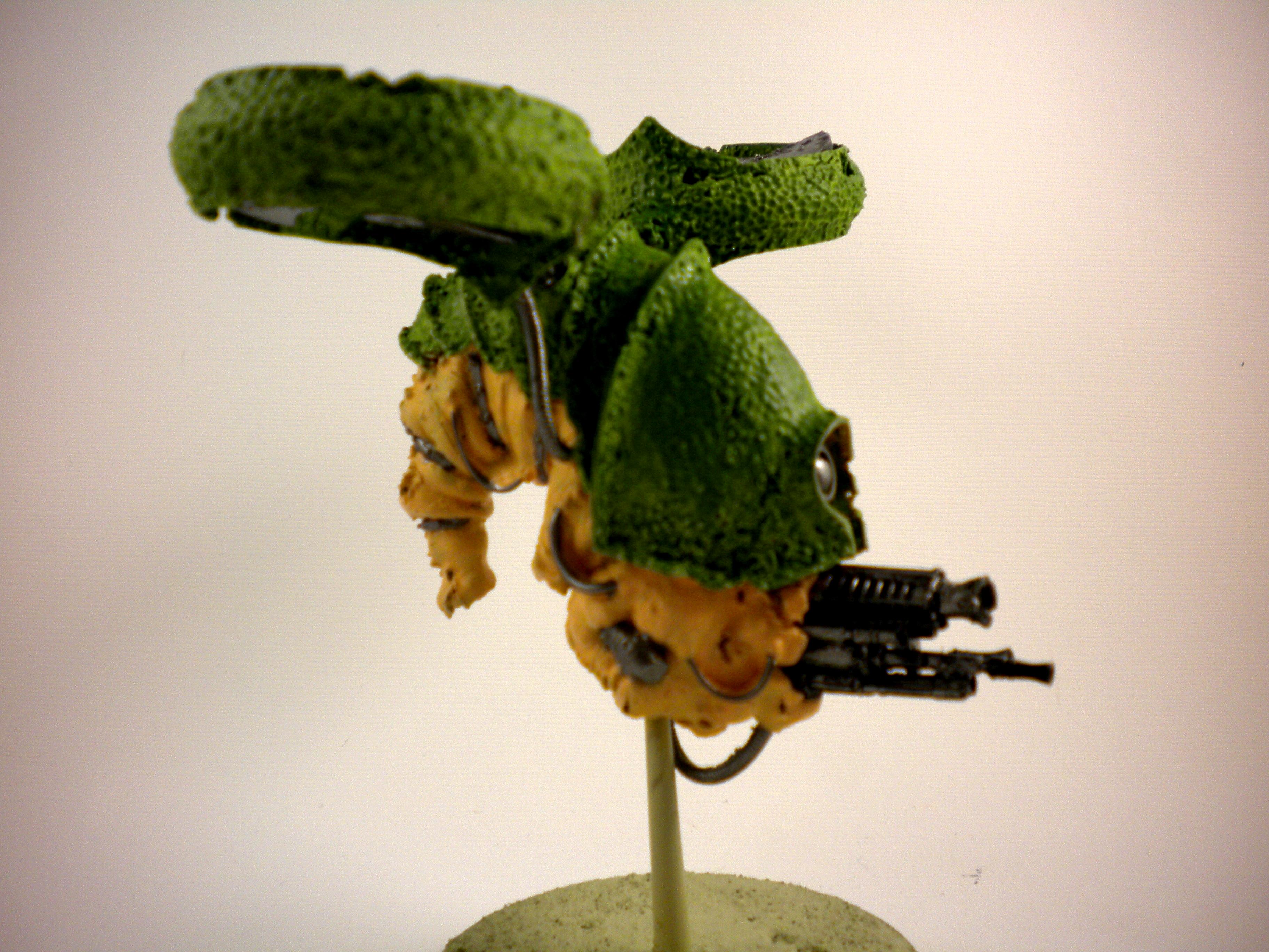 Blight Drone, Chaos, Nurgle