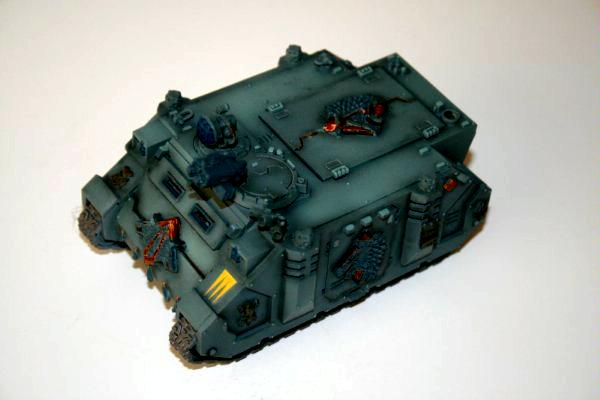 S wolves rhino