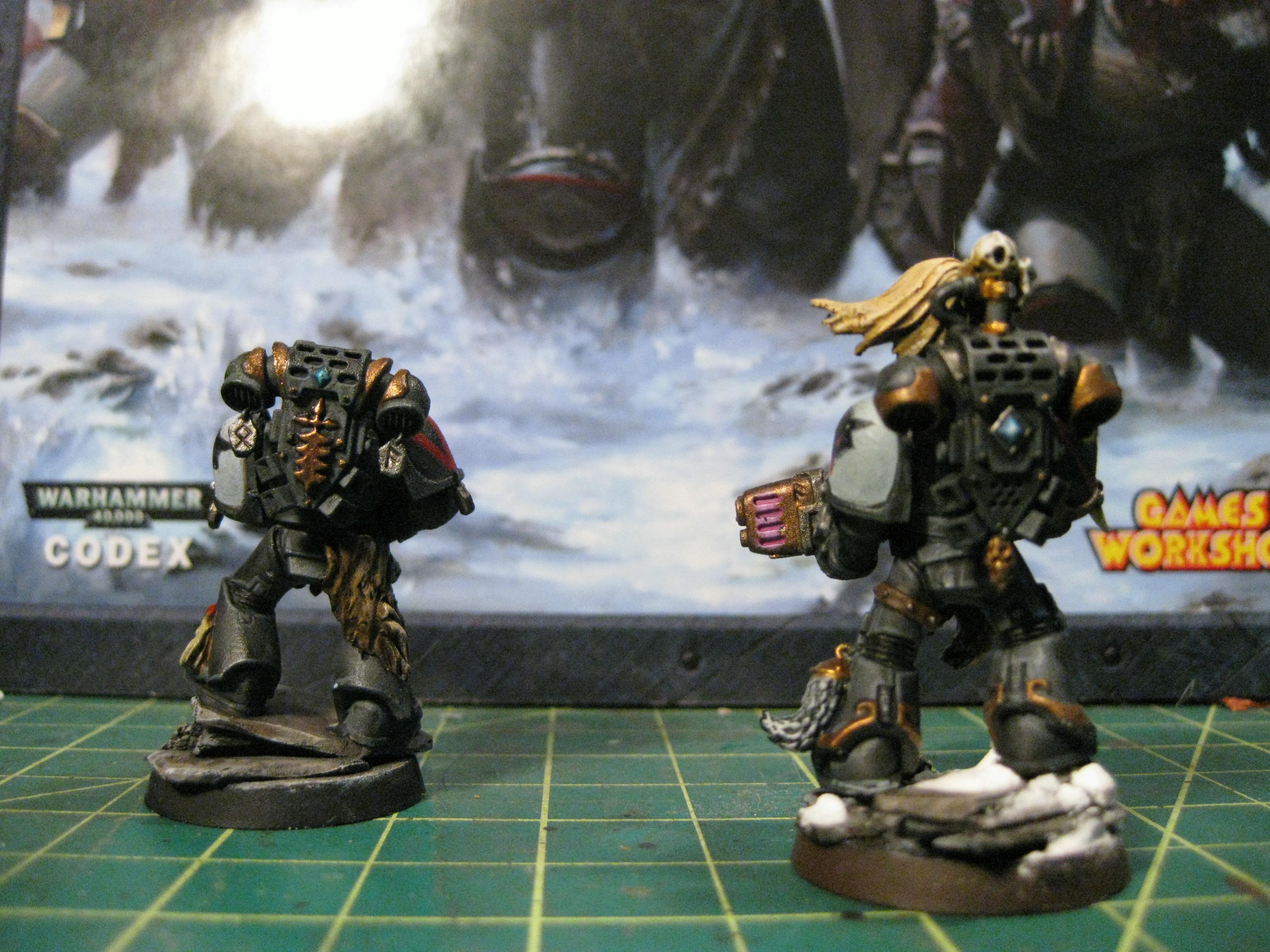 Grey Hunter, Space Marines, Space Wolves