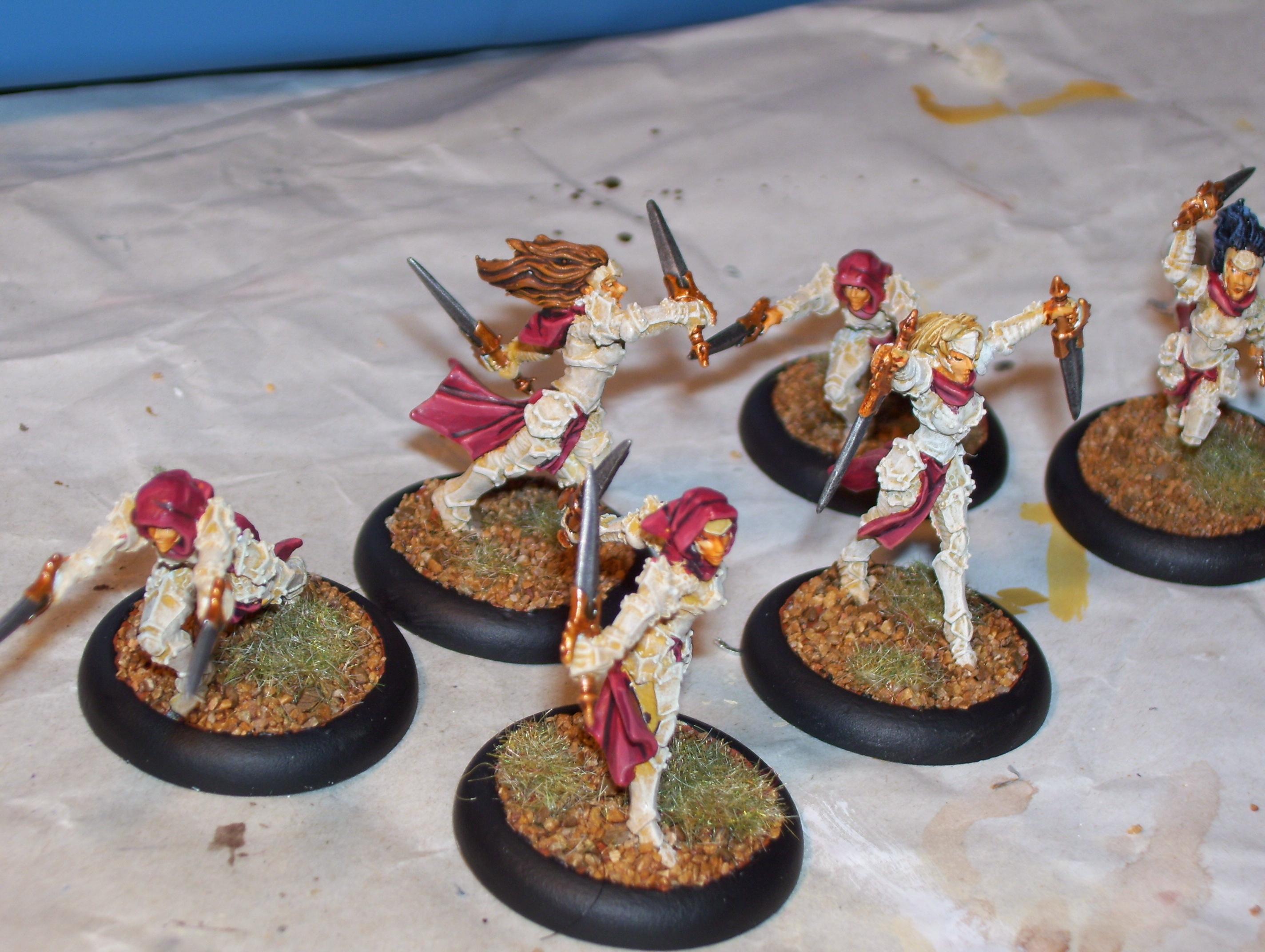Daughters, Daughters Of The Flame, Pom, Protectorate, Protectorate Of Menoth, Warmachine