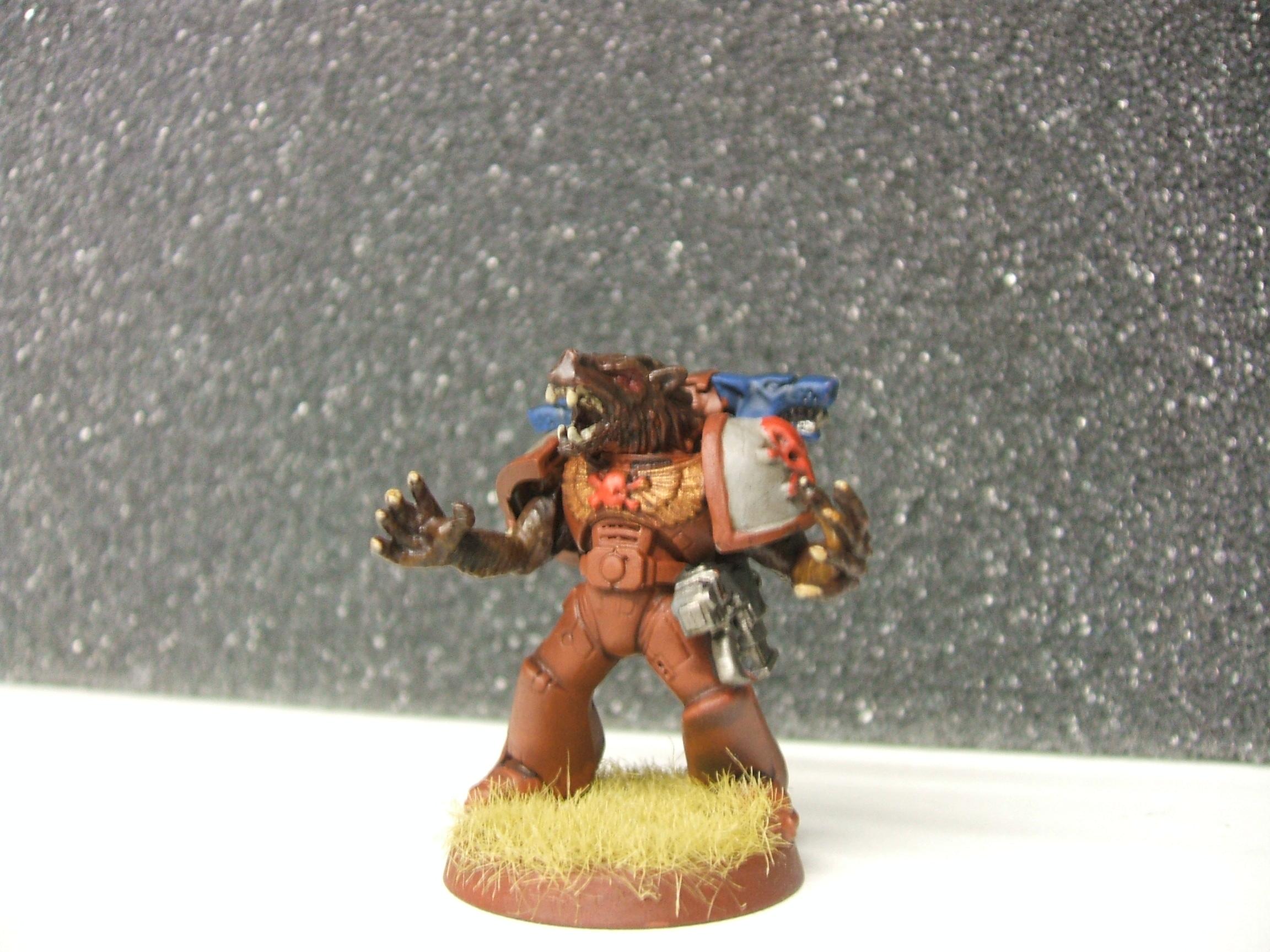 MotW guy