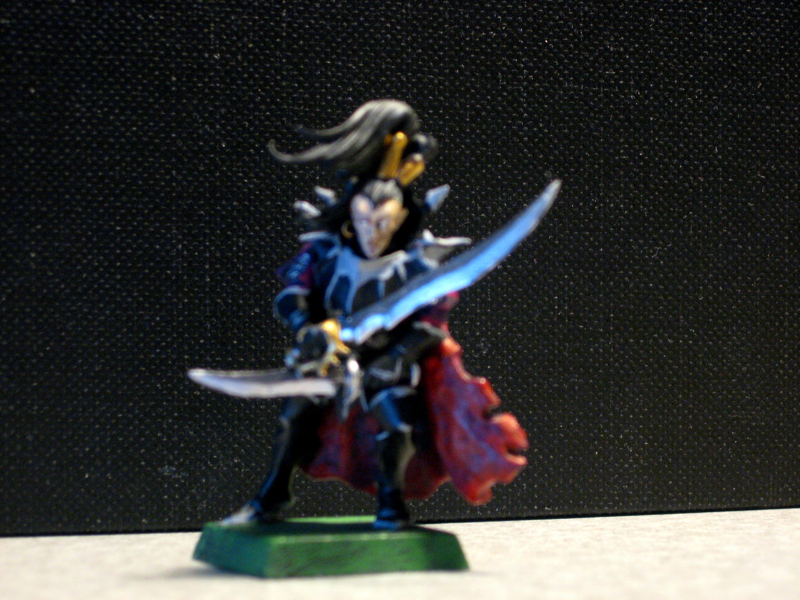 Dark Elves, Dark Elf Corsair