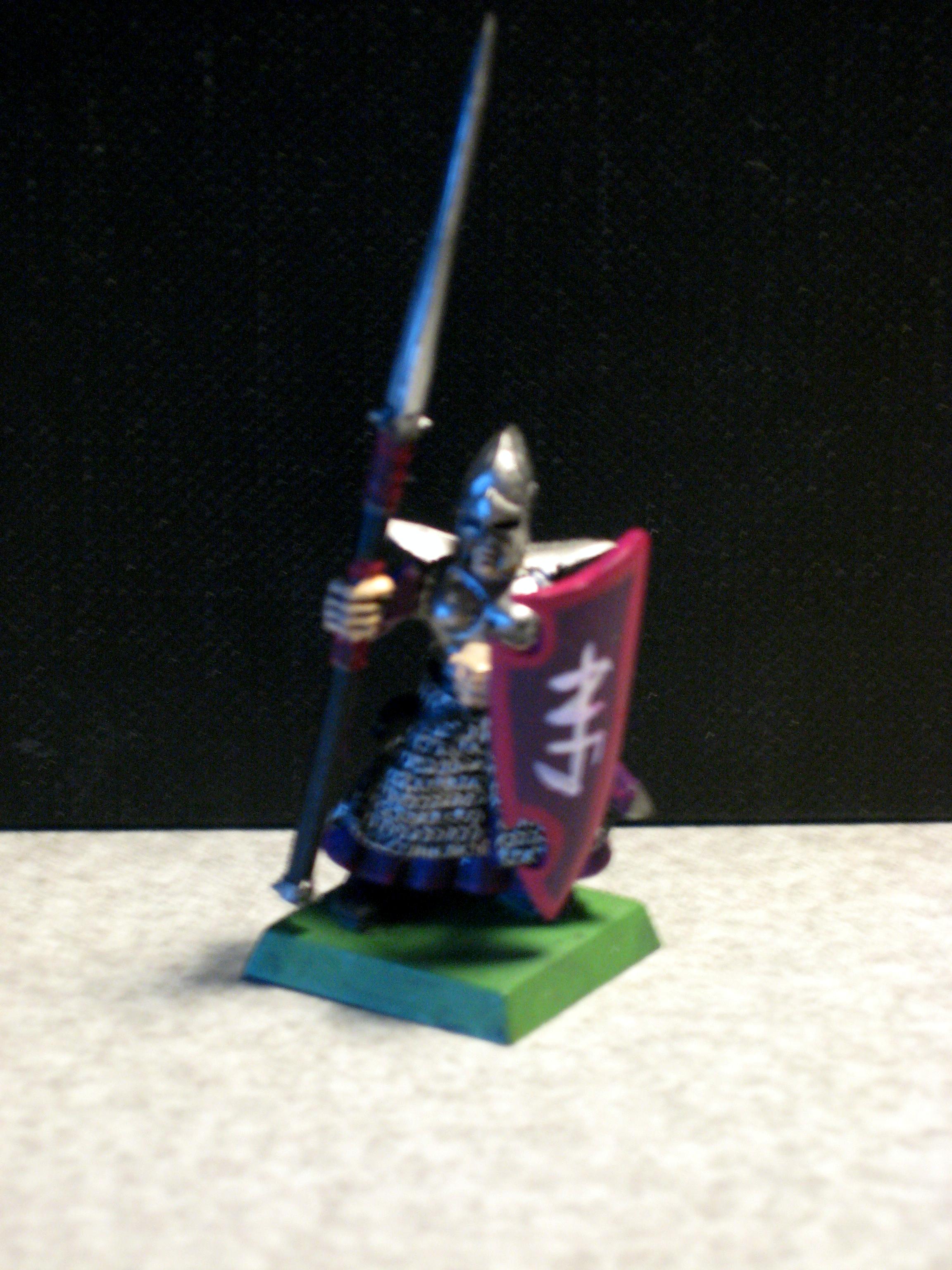 Dark Elves, Dark Elf Warrior