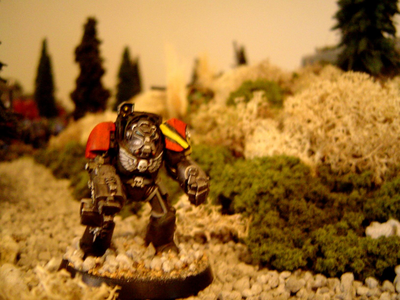 Space Marines, Terminater