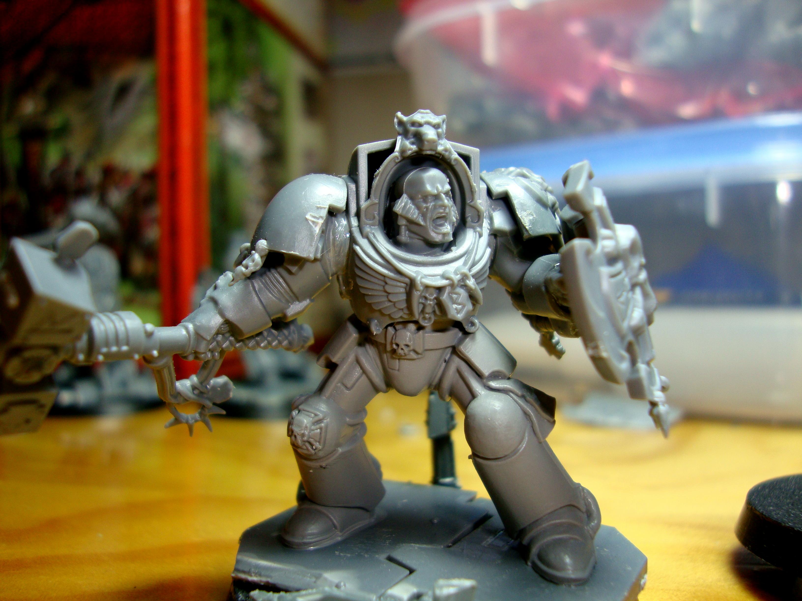 Space Marines, Space Wolves