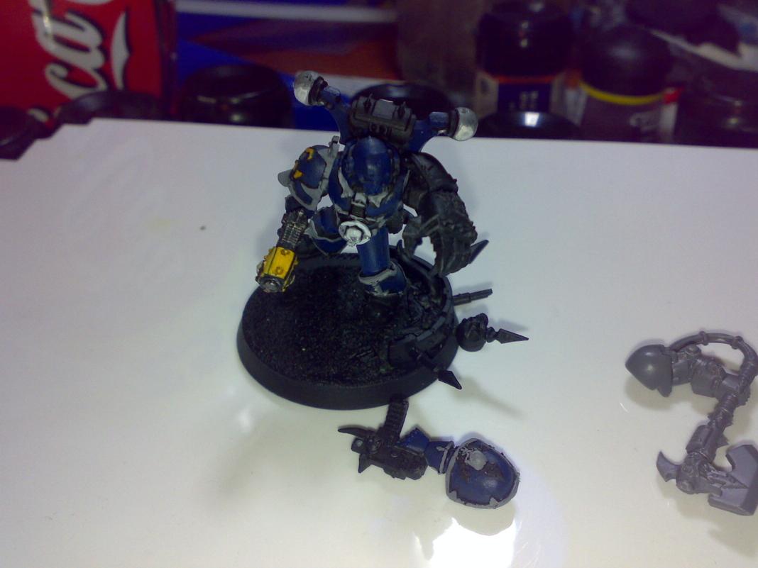 Champion Magnetised