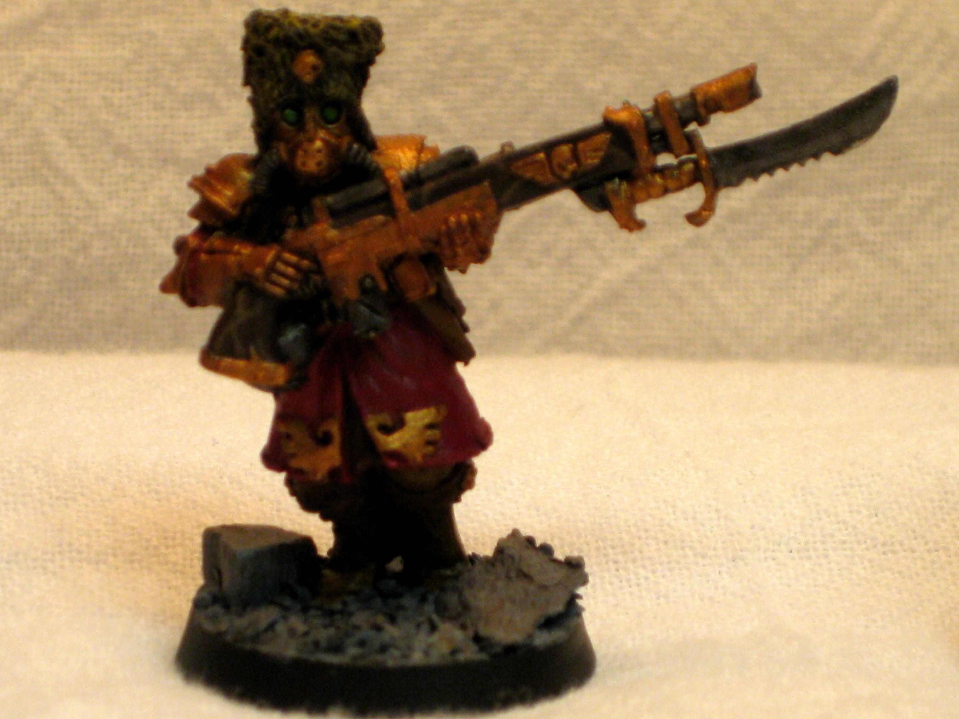 Vostroyans Imperial Gard Ig