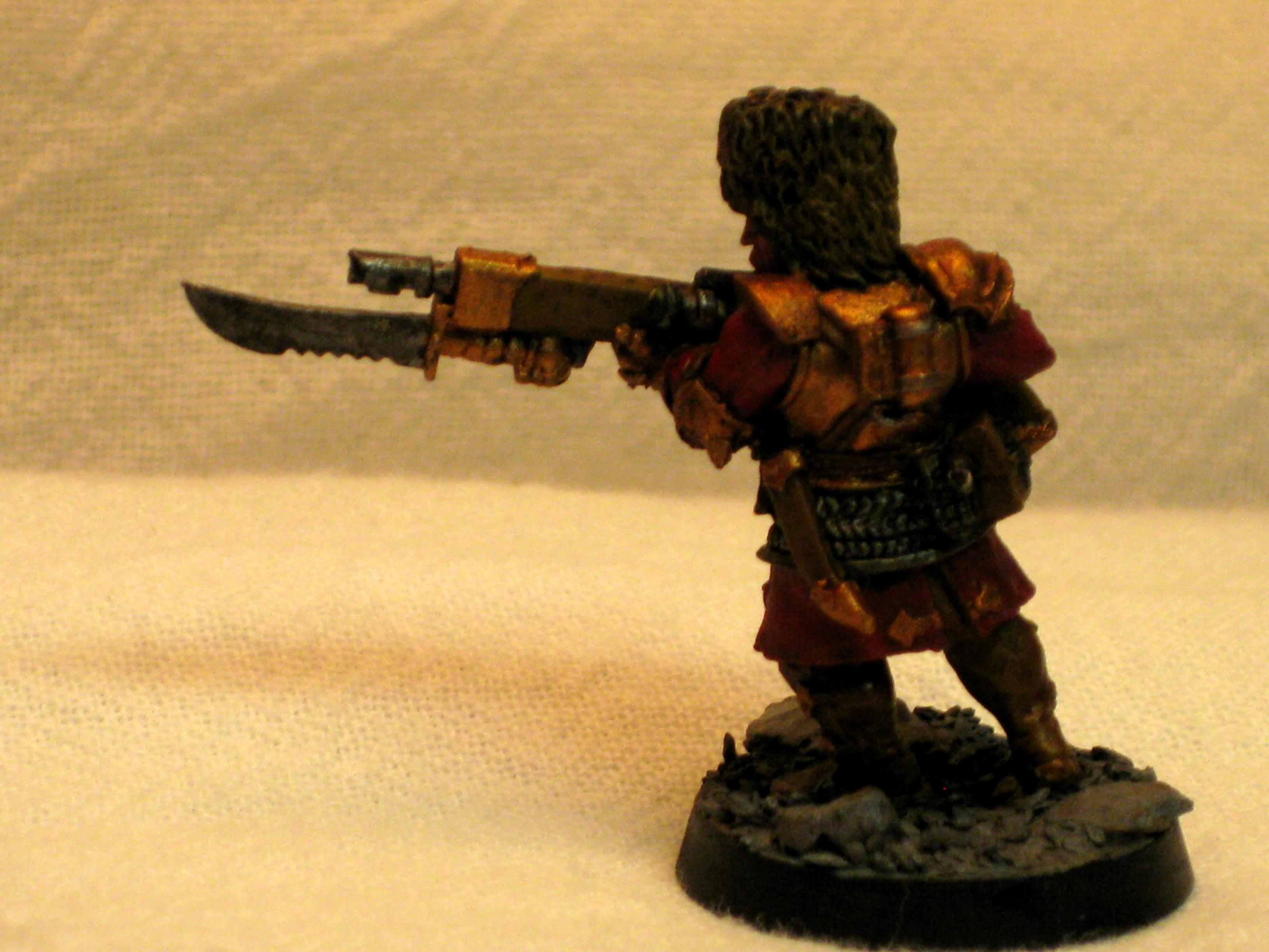 Vostroyans Imperial Gard Ig