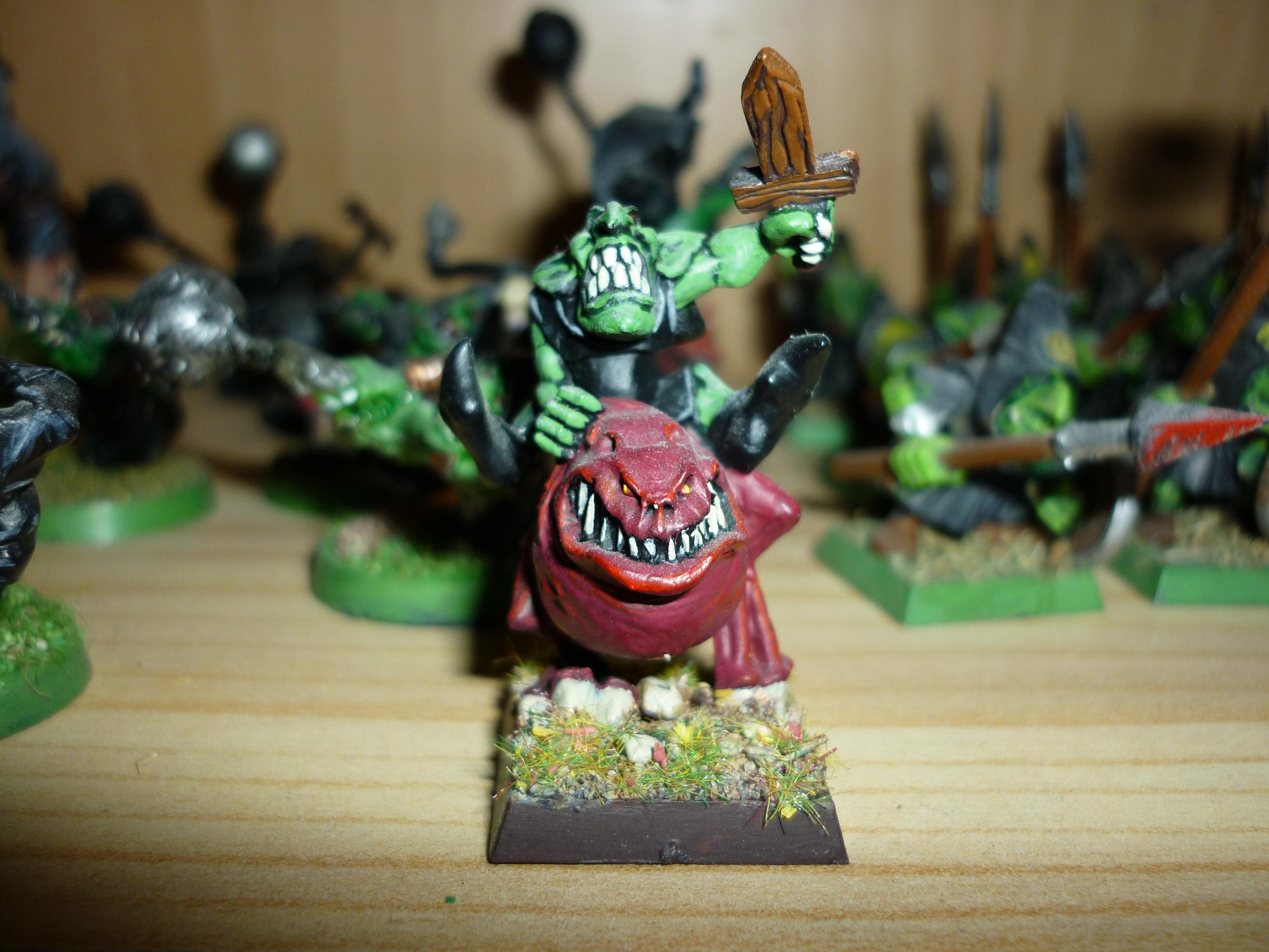 Goblins, Orcs And Goblins, Squid Rider, Warhammer Fantasy